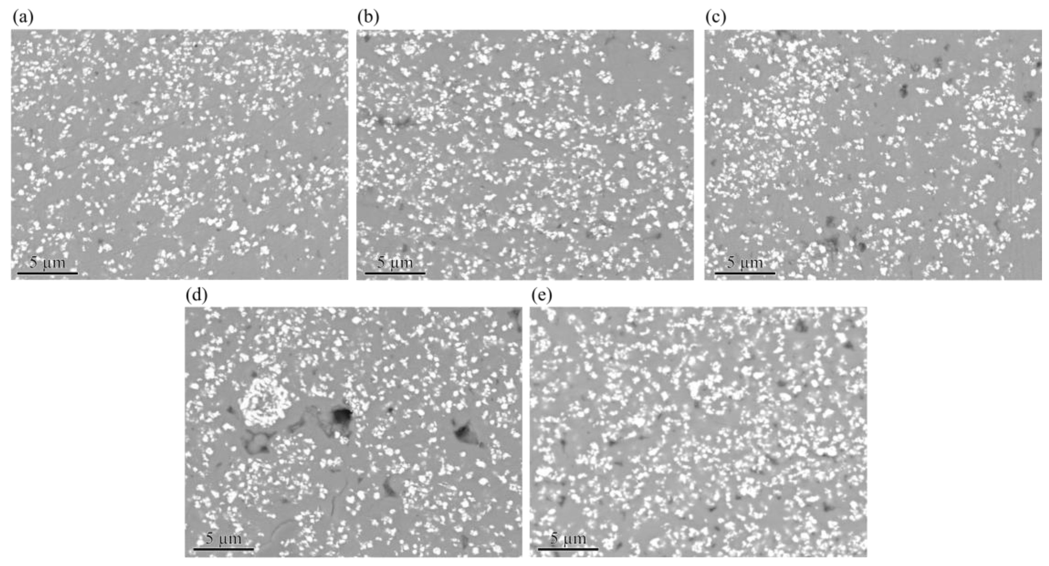 Coatings 14 00826 g010