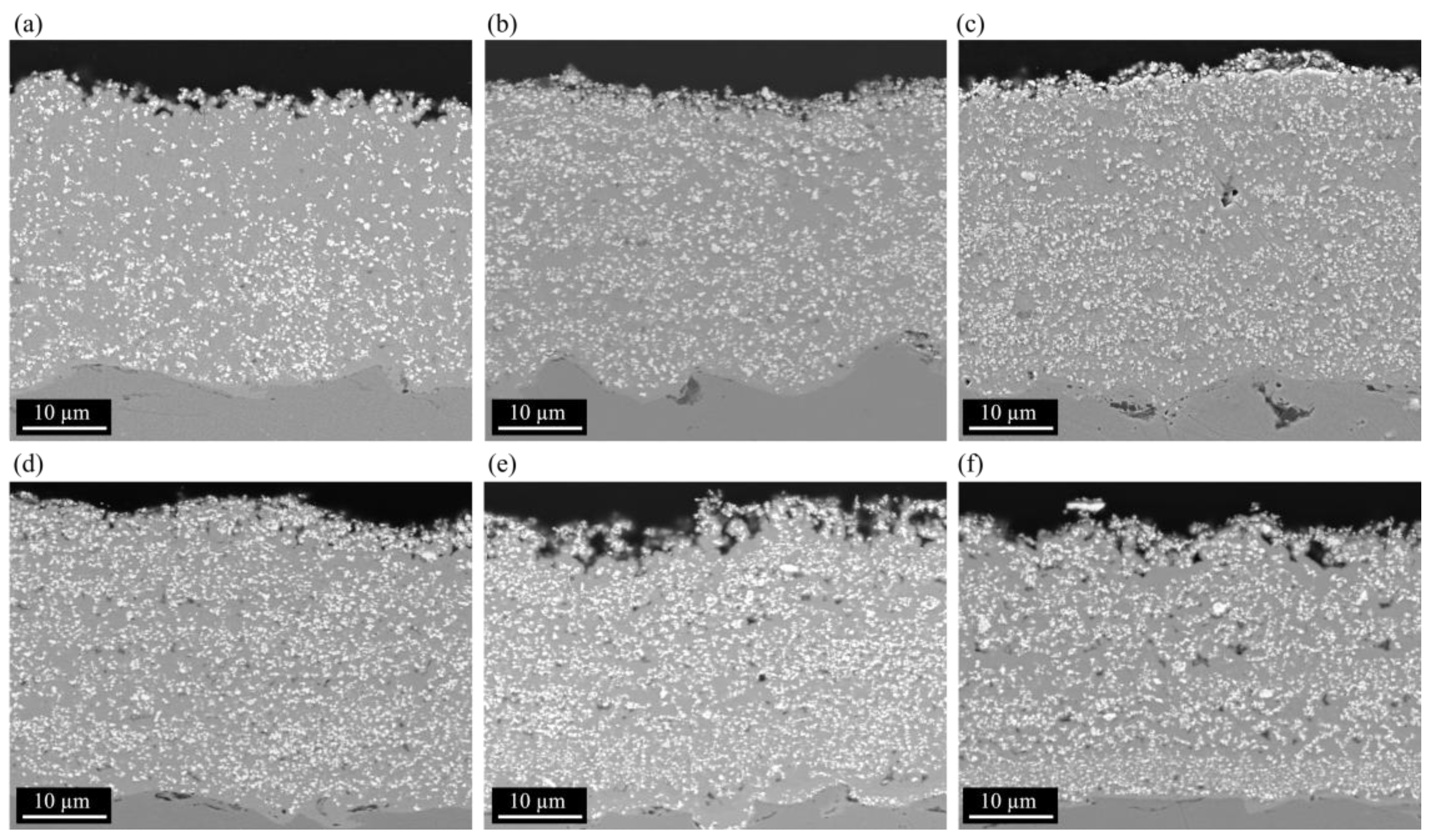 Coatings 14 00826 g013
