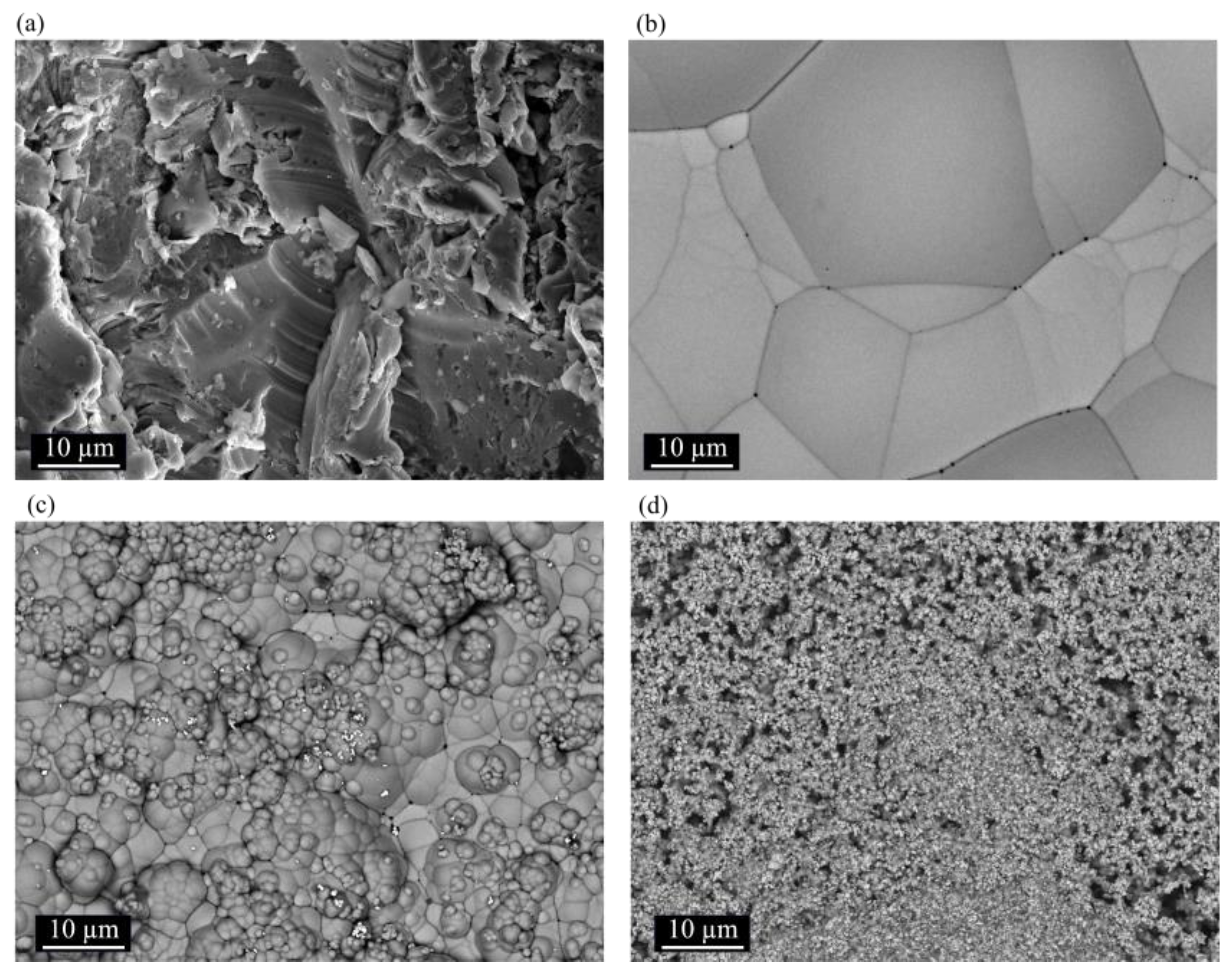 Coatings 14 00826 g016