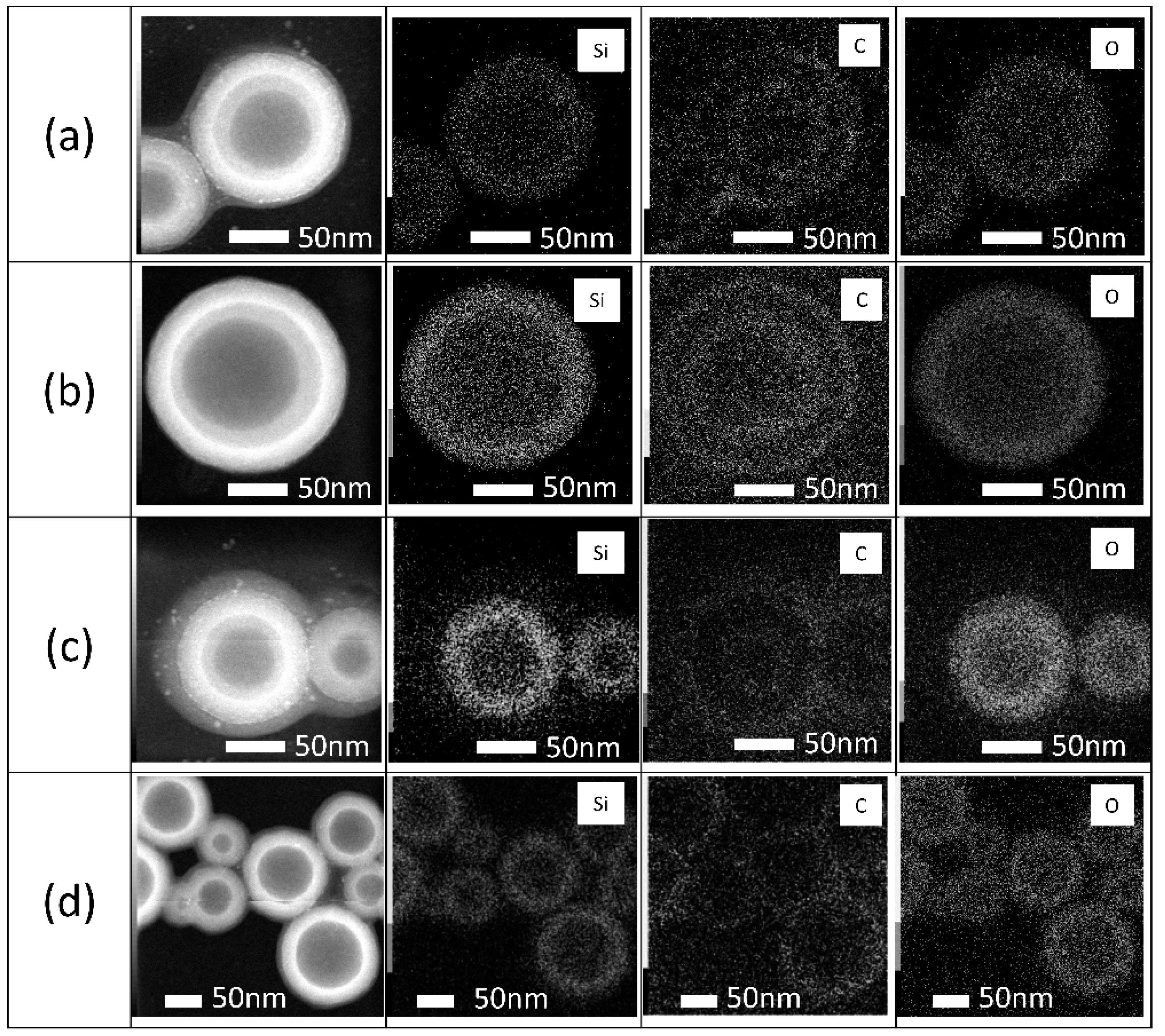 Coatings 14 00829 g001