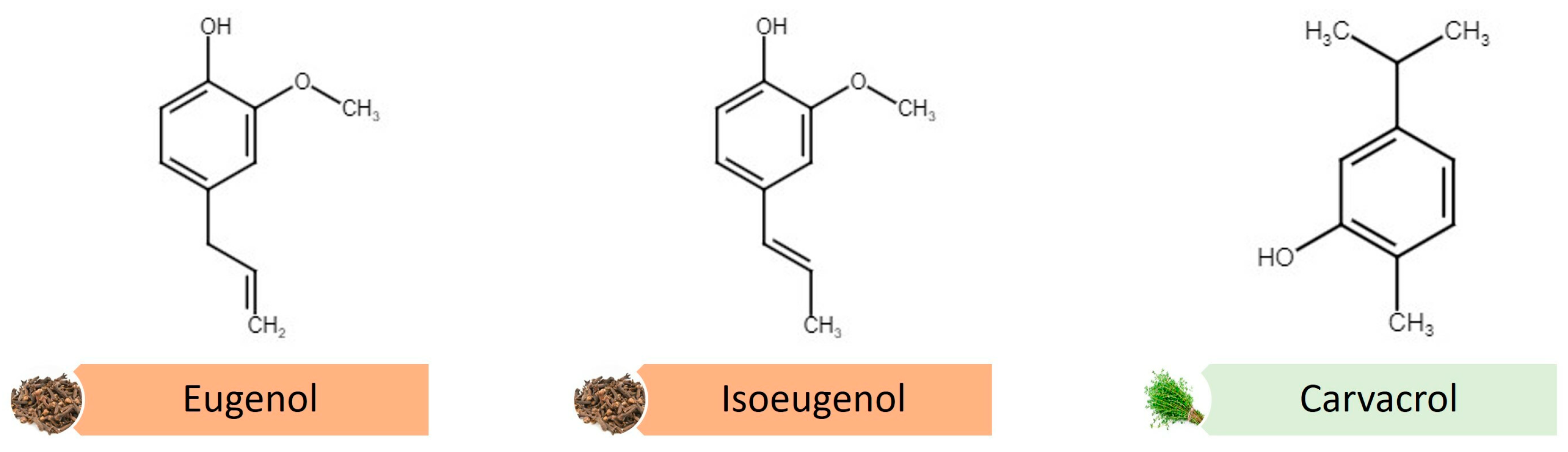 Coatings 14 00830 g001
