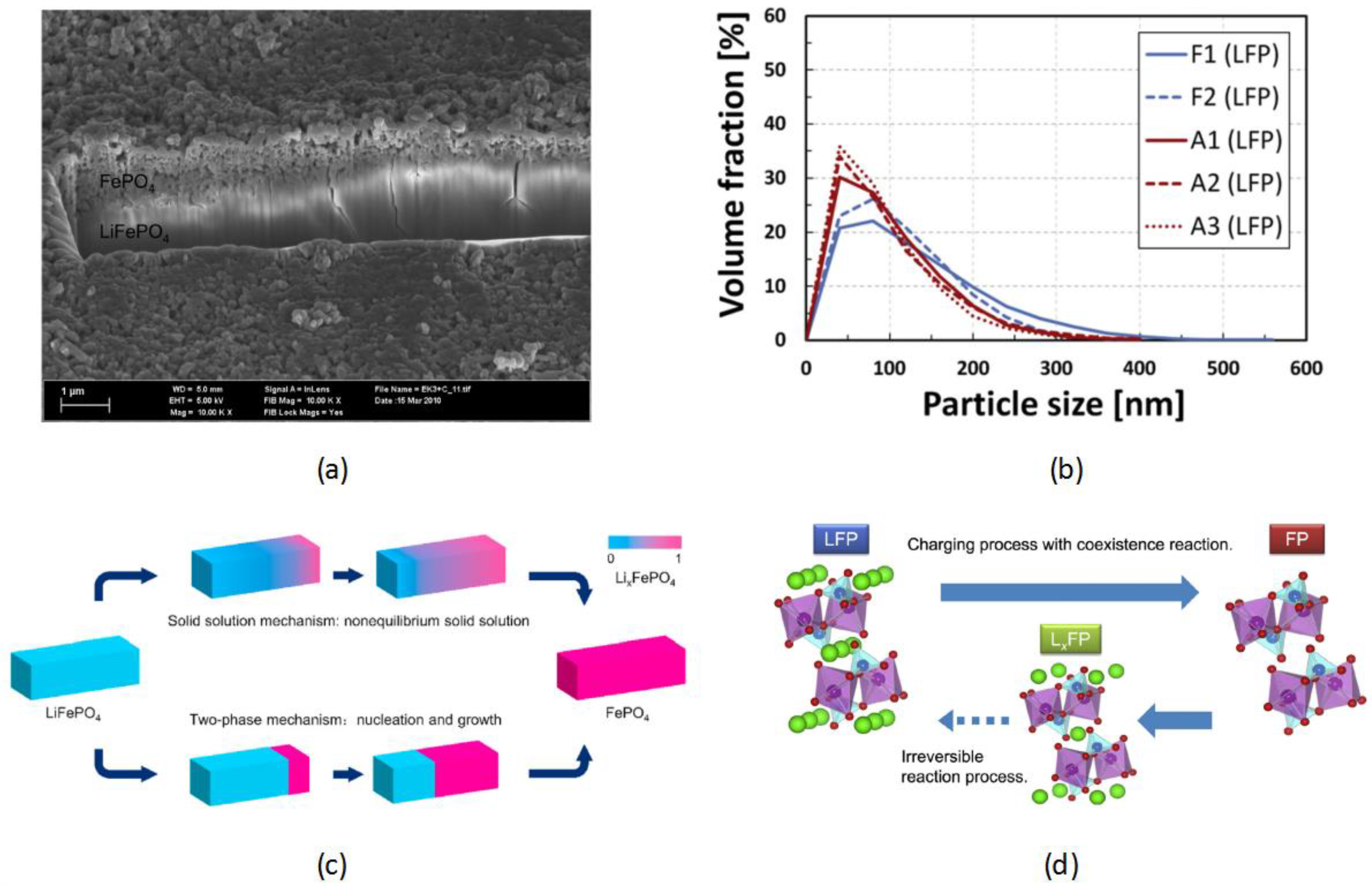 Coatings 14 00832 g003