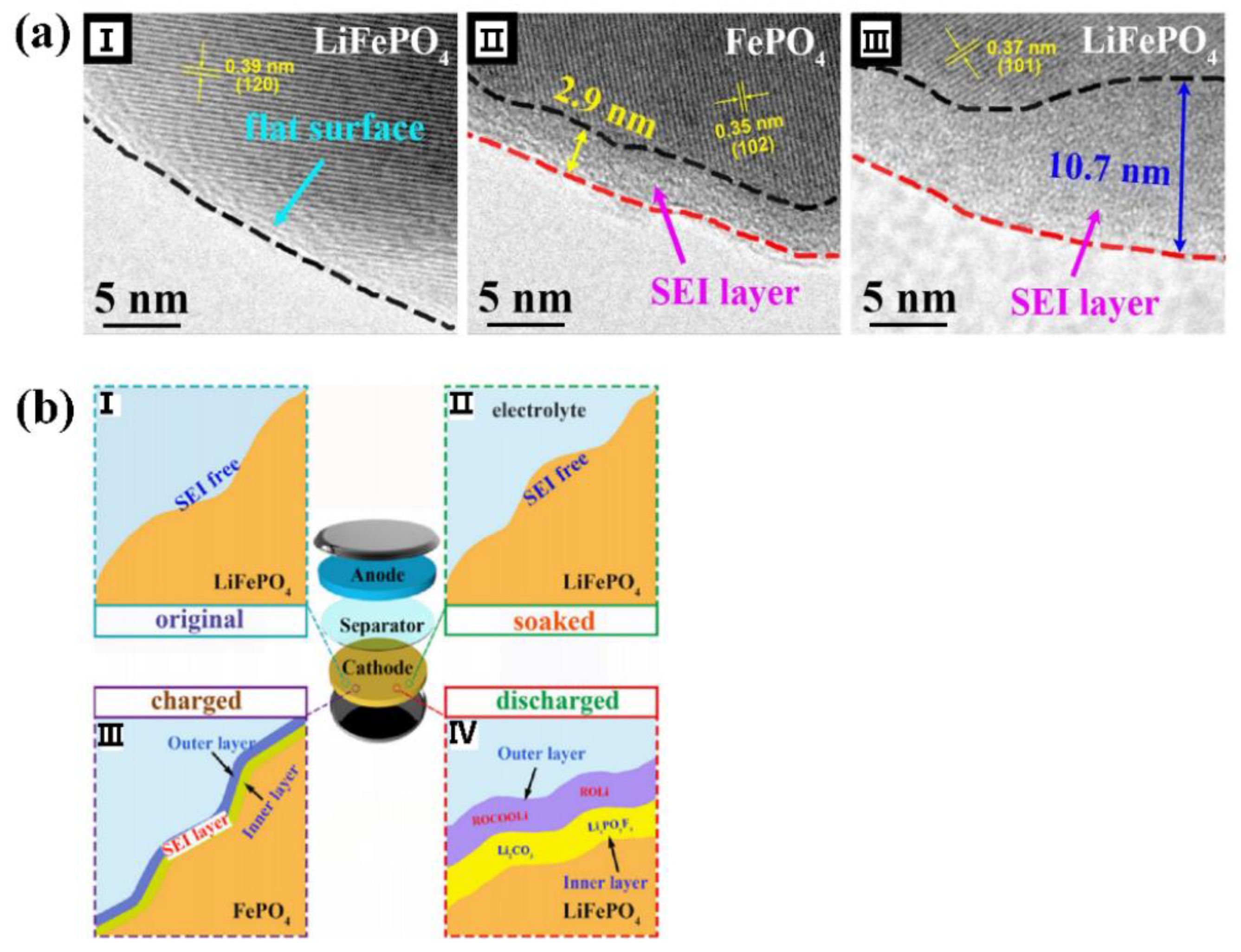 Coatings 14 00832 g004