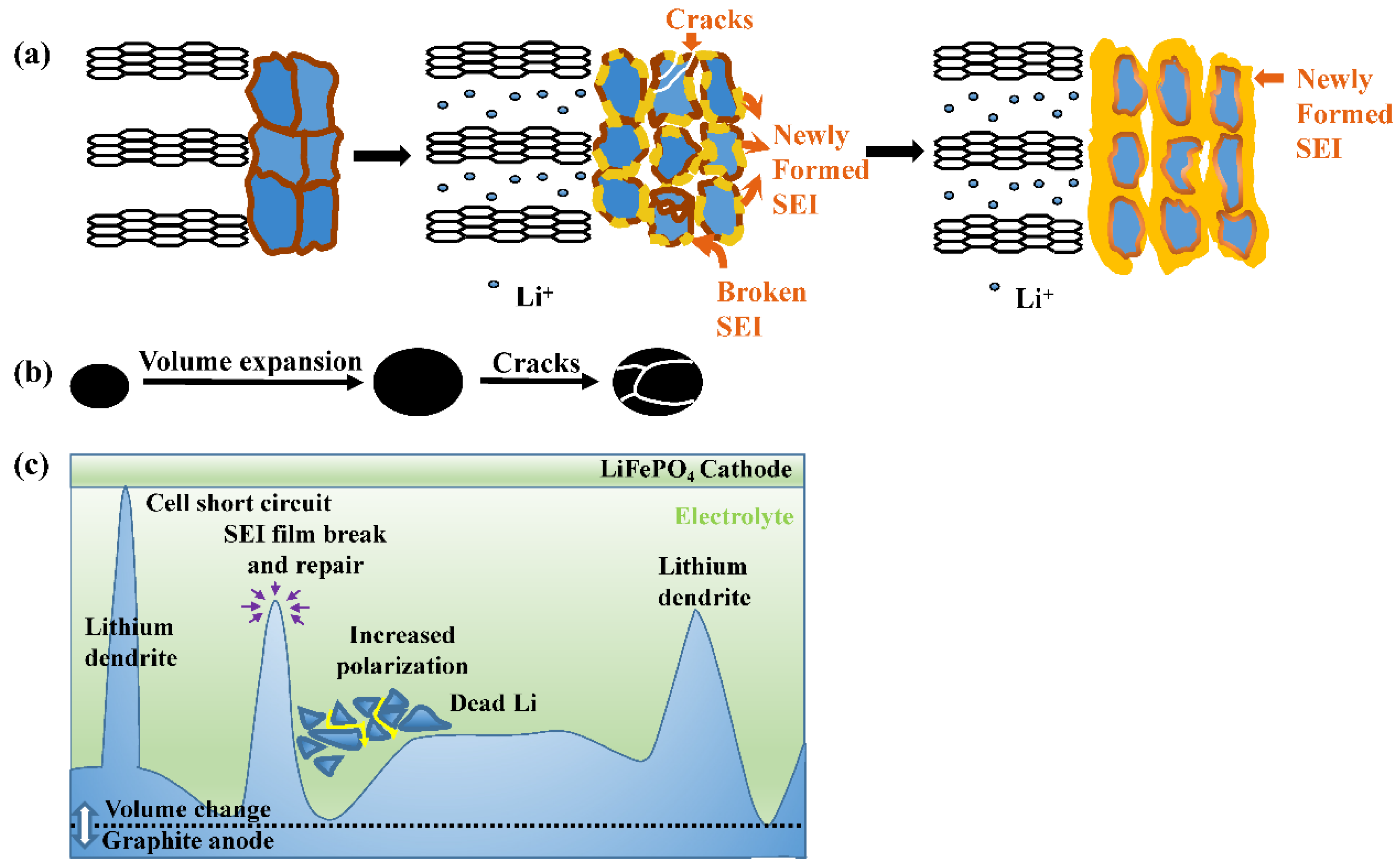 Coatings 14 00832 g006