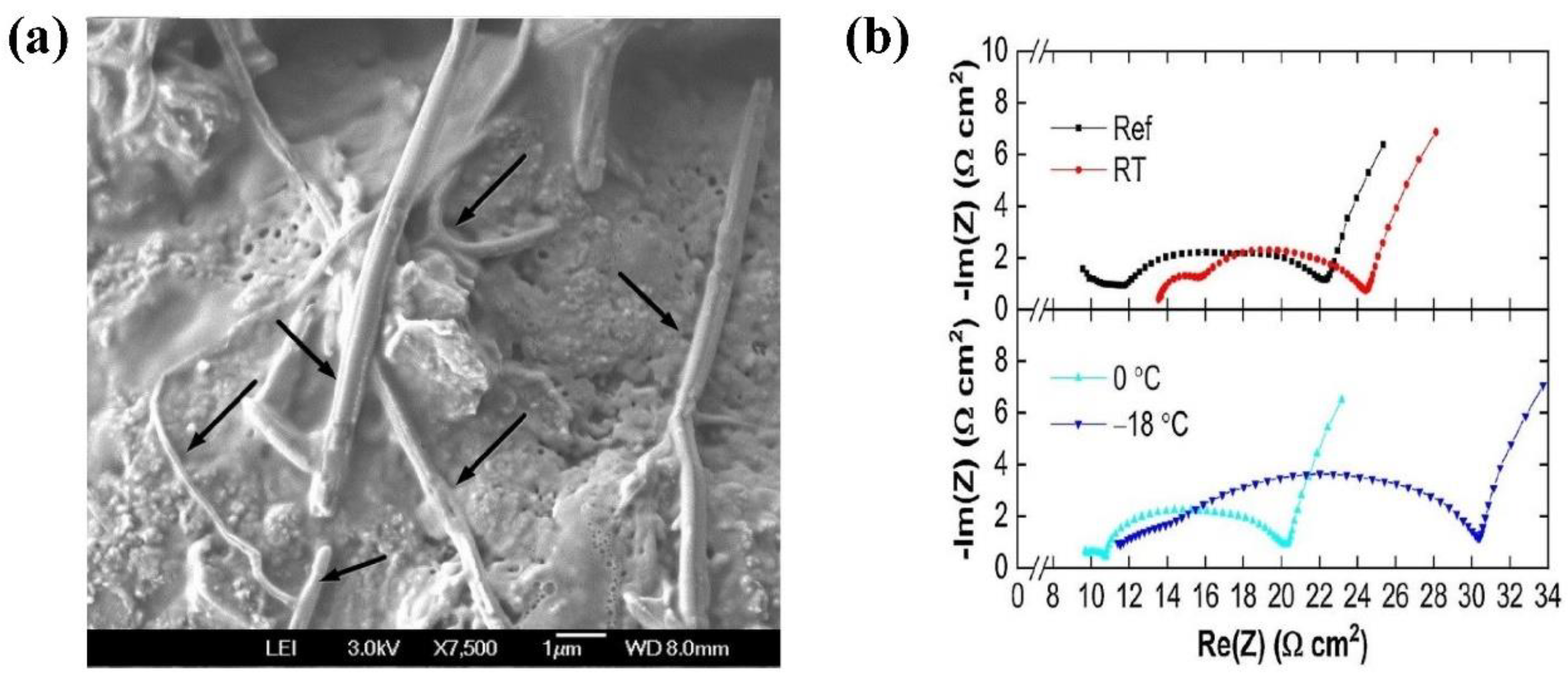 Coatings 14 00832 g008