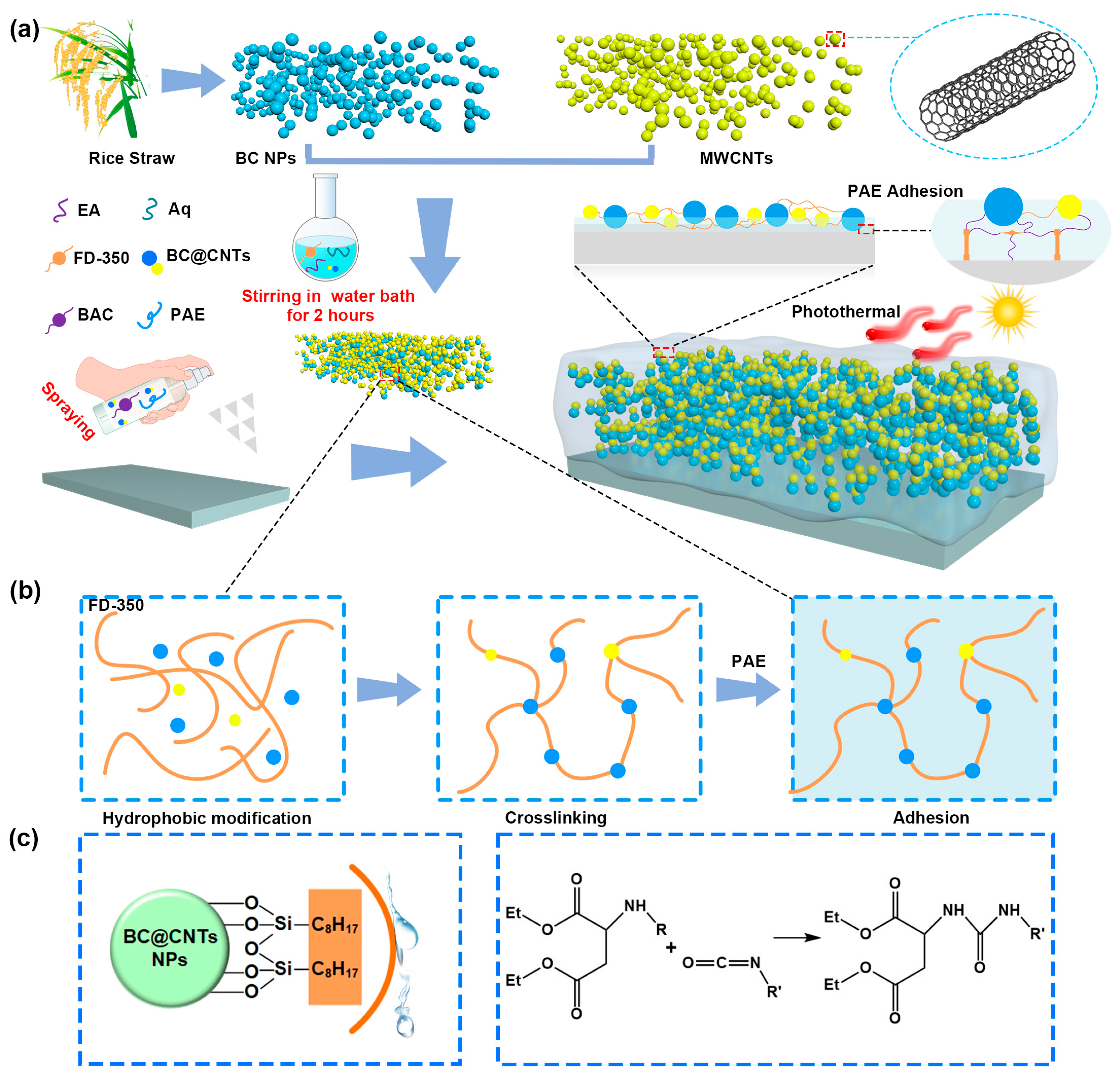 Coatings 14 00838 g001