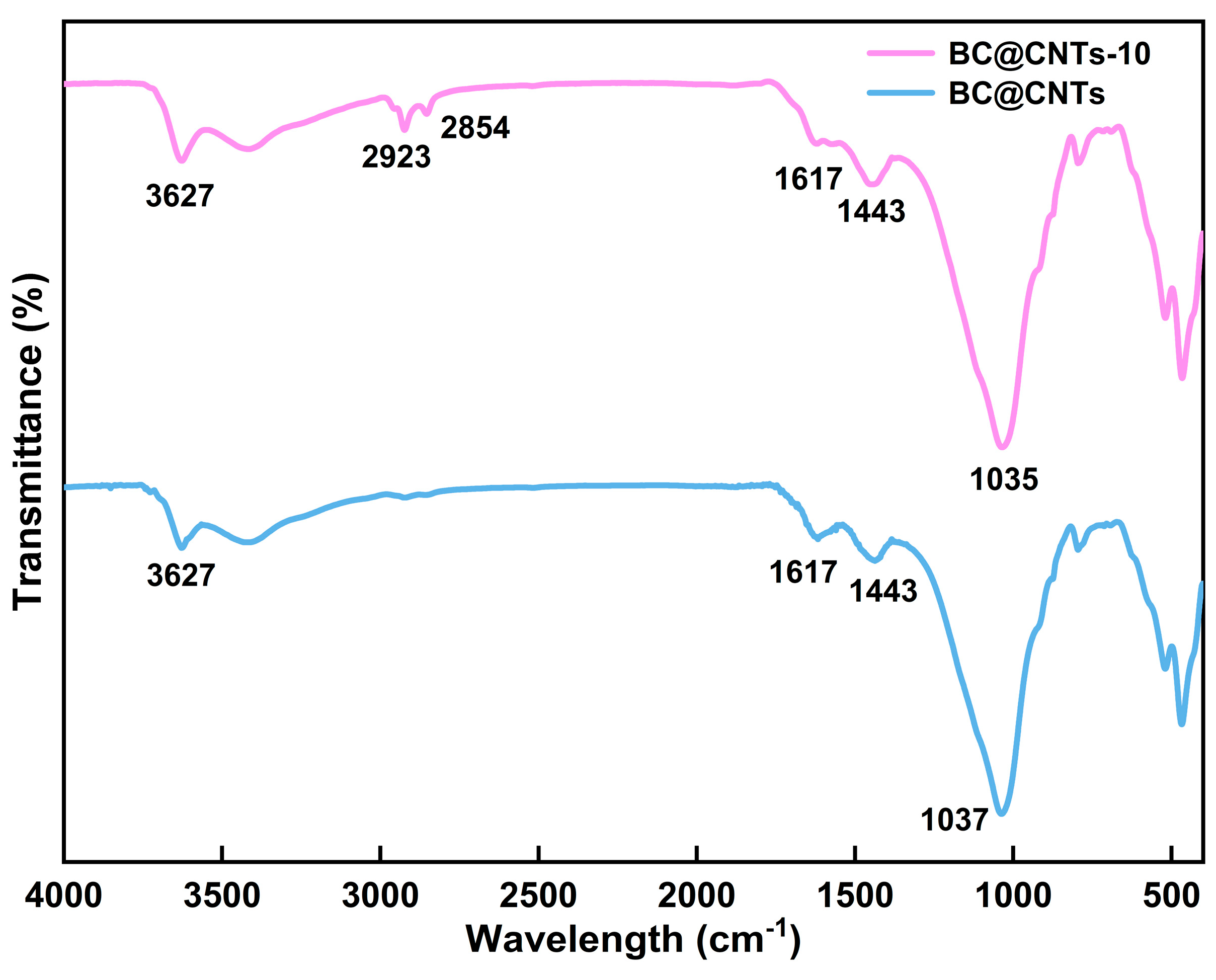 Coatings 14 00838 g002