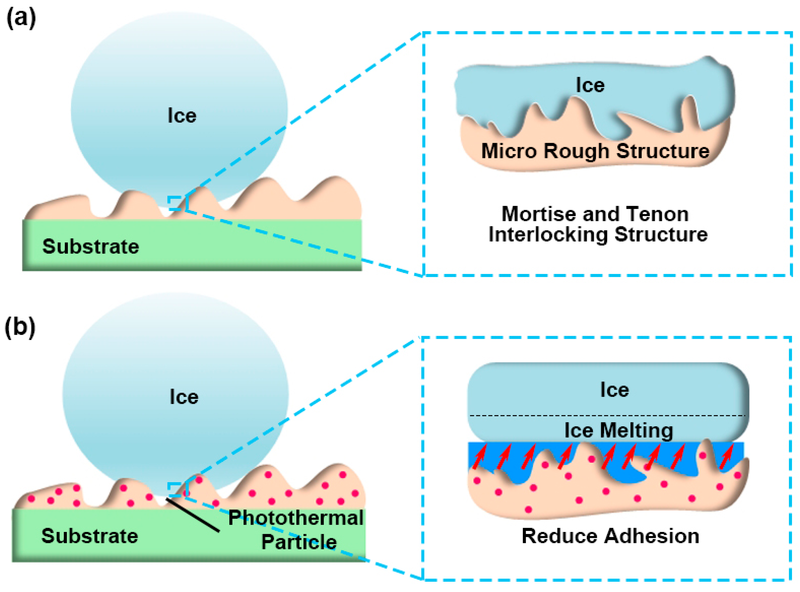 Coatings 14 00838 g007