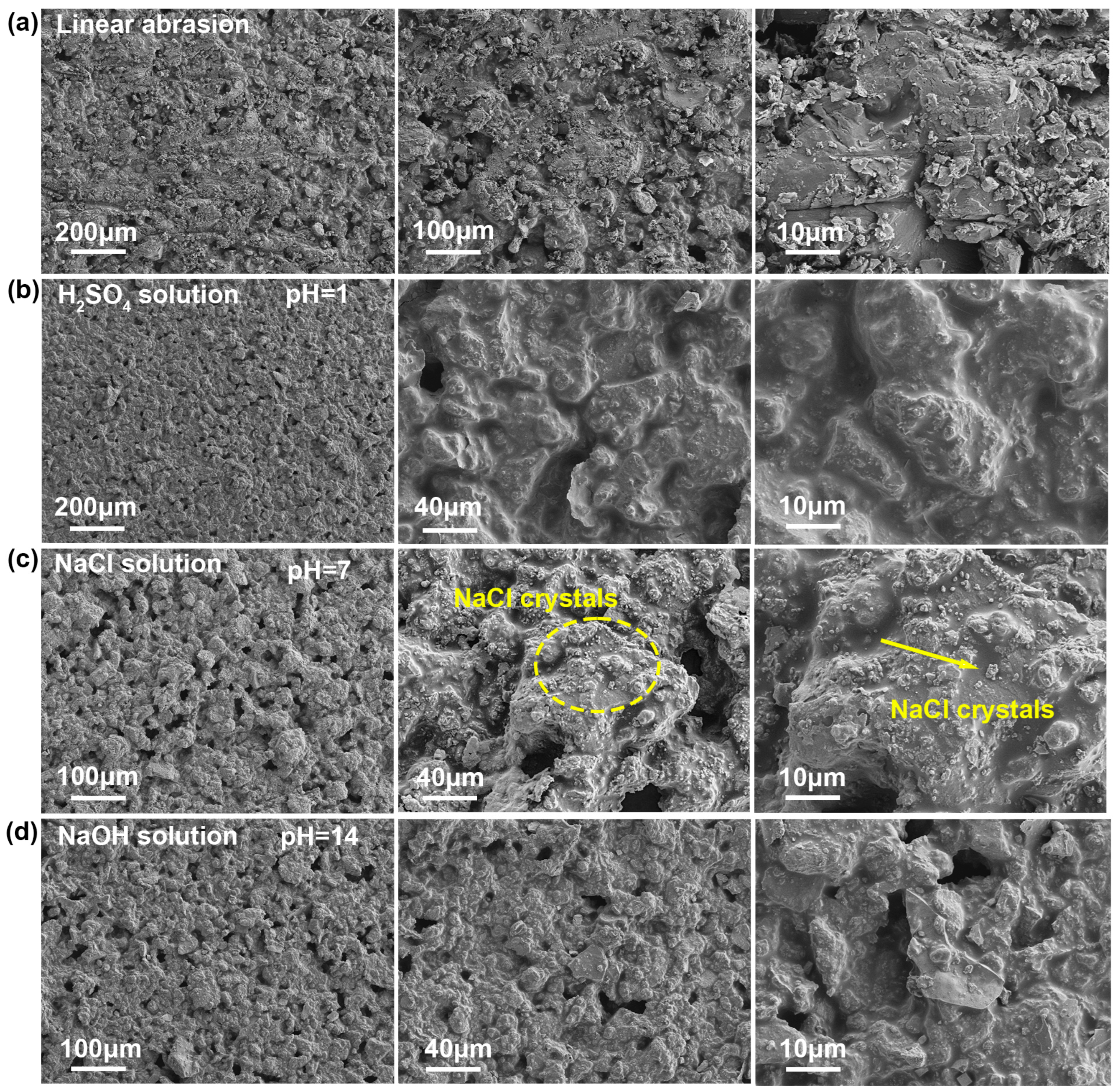 Coatings 14 00838 g012