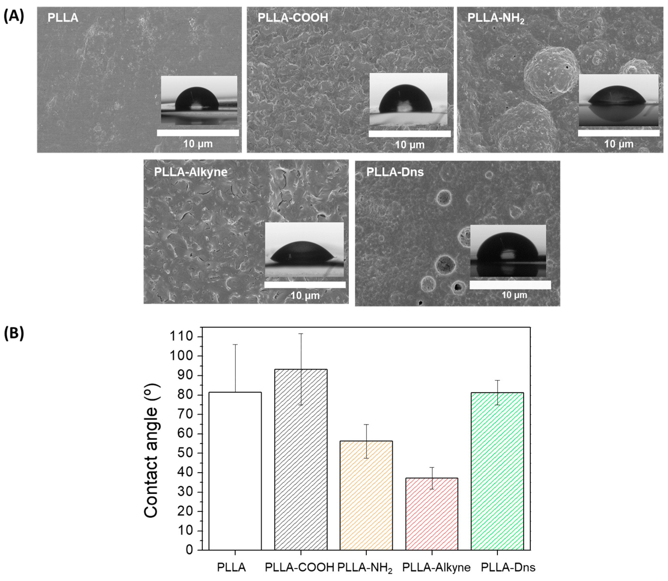 Coatings 14 00839 g003