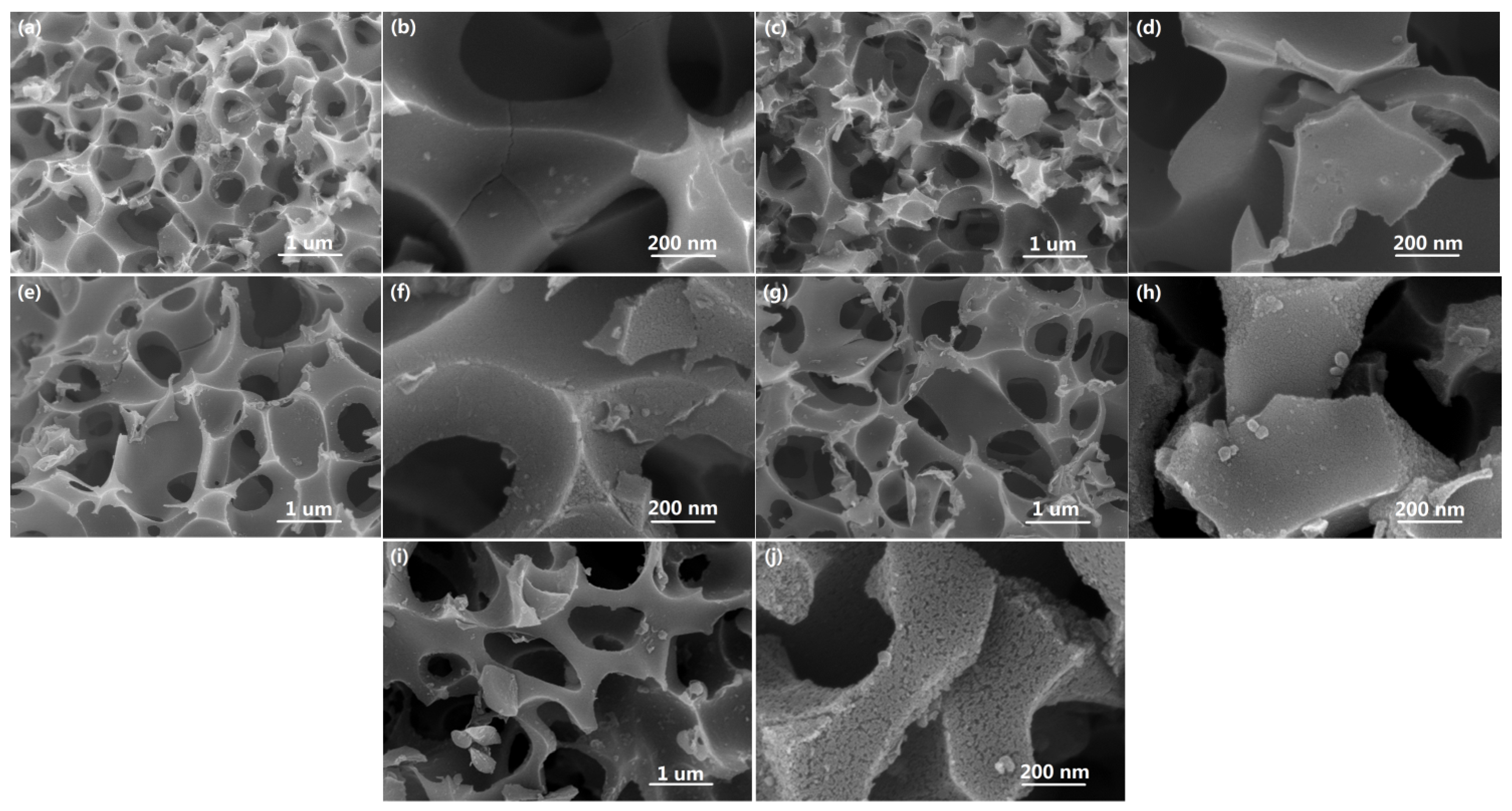 Coatings 14 00840 g001