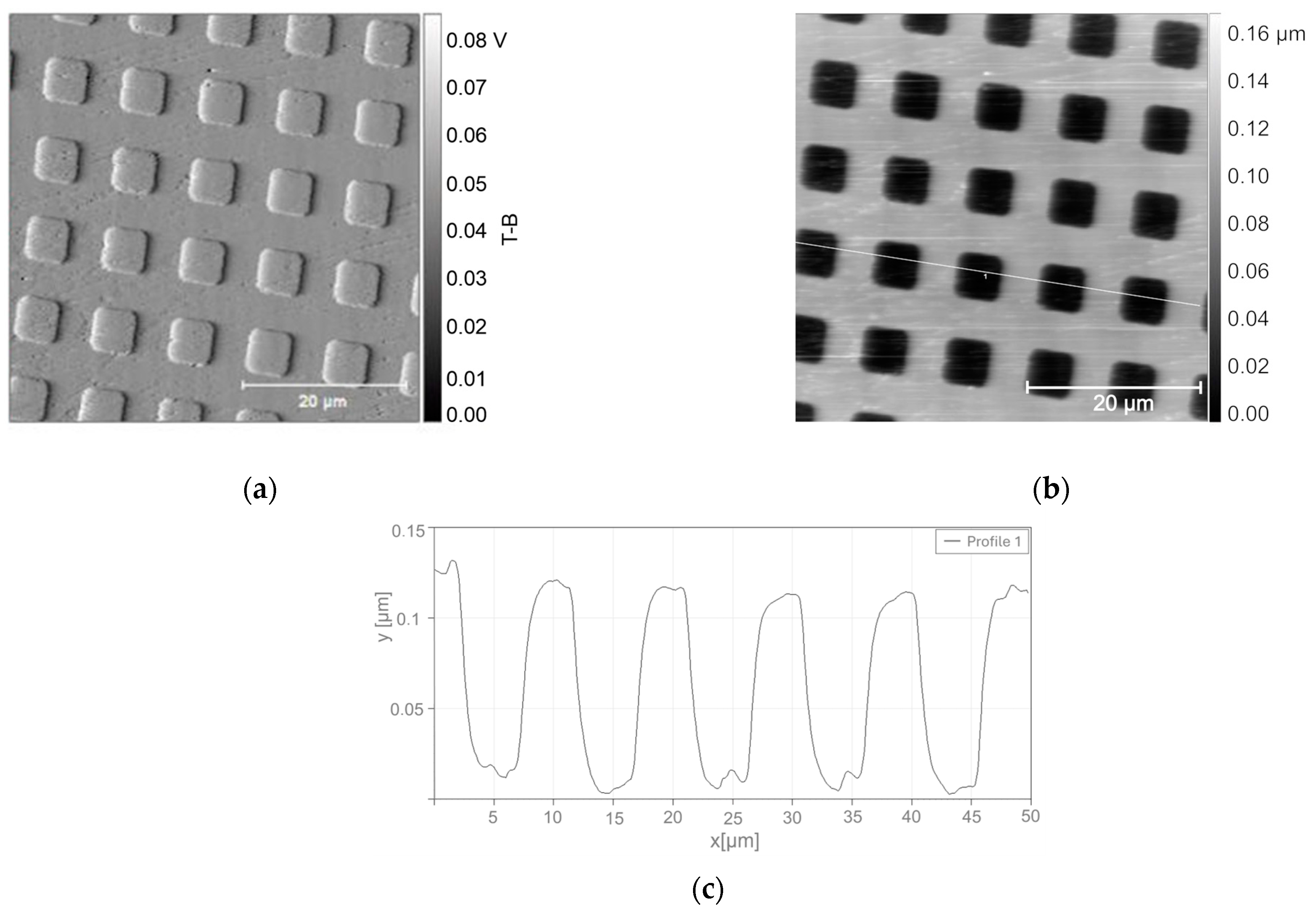 Coatings 14 00841 g007
