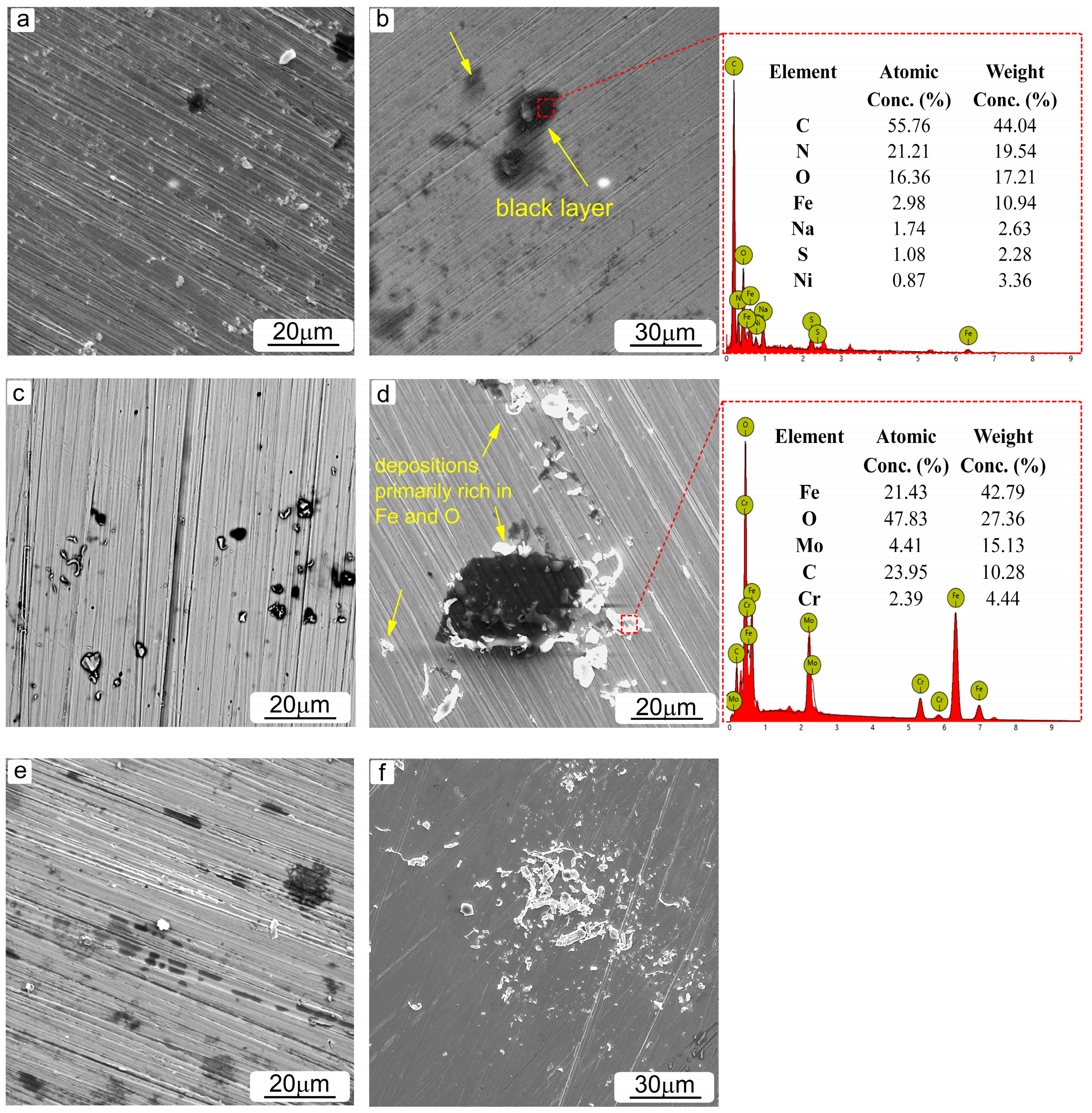 Coatings 14 00842 g006