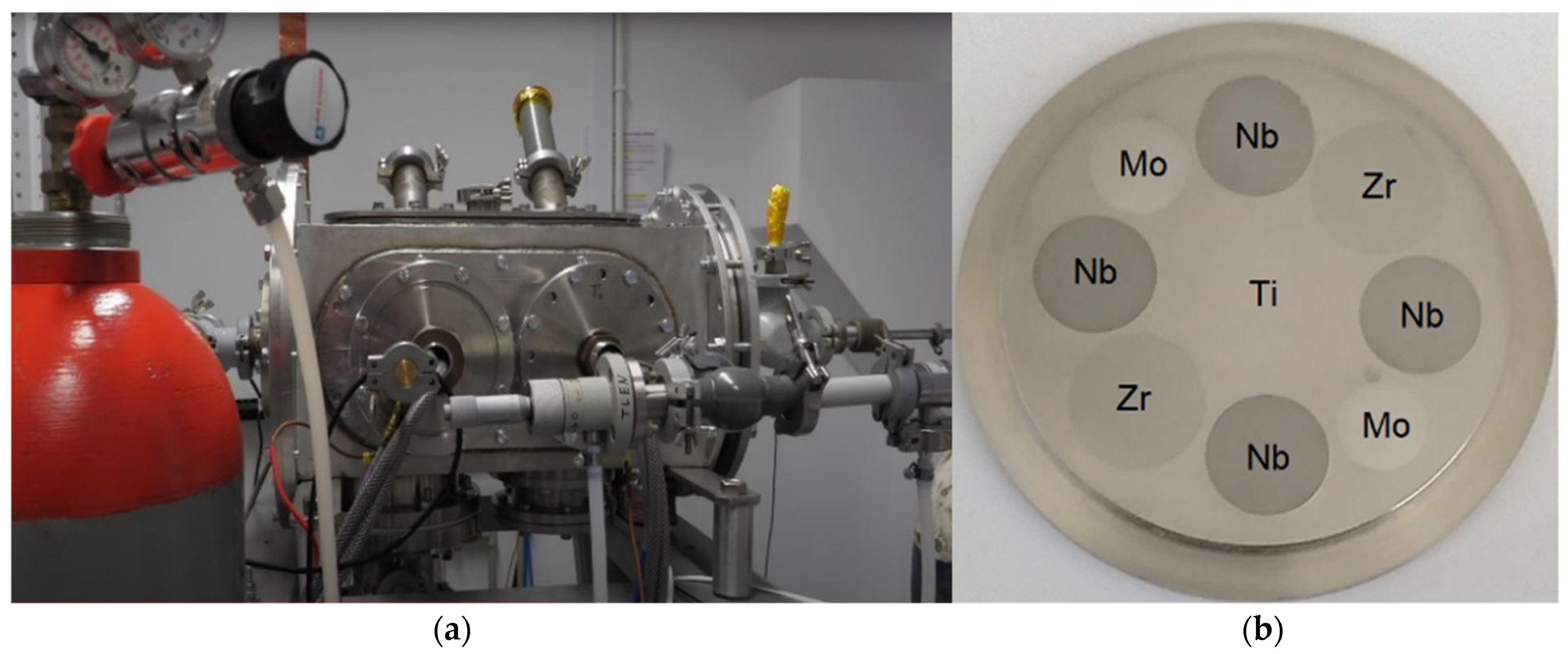 Coatings 14 00844 g001