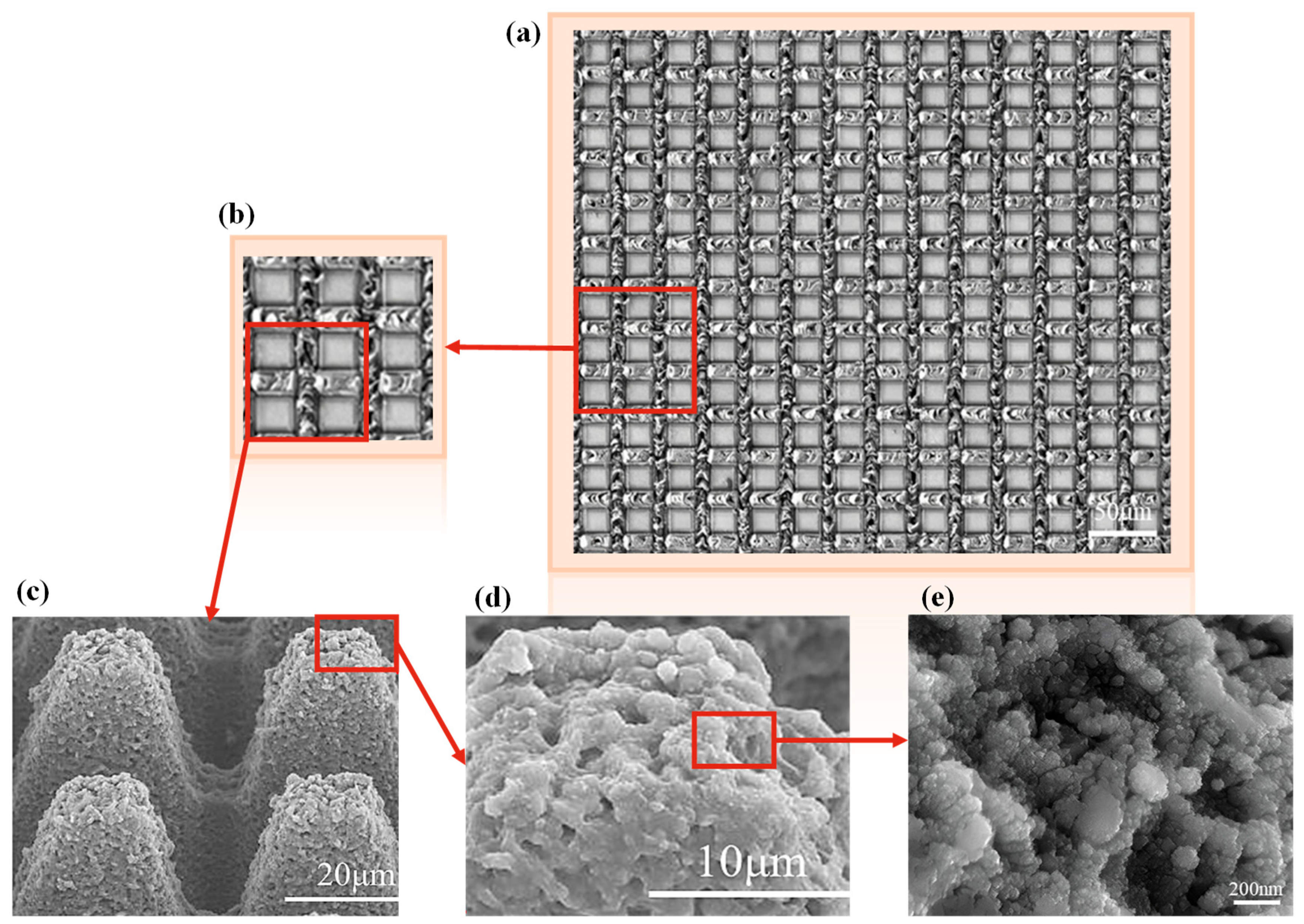 Coatings 14 00845 g007