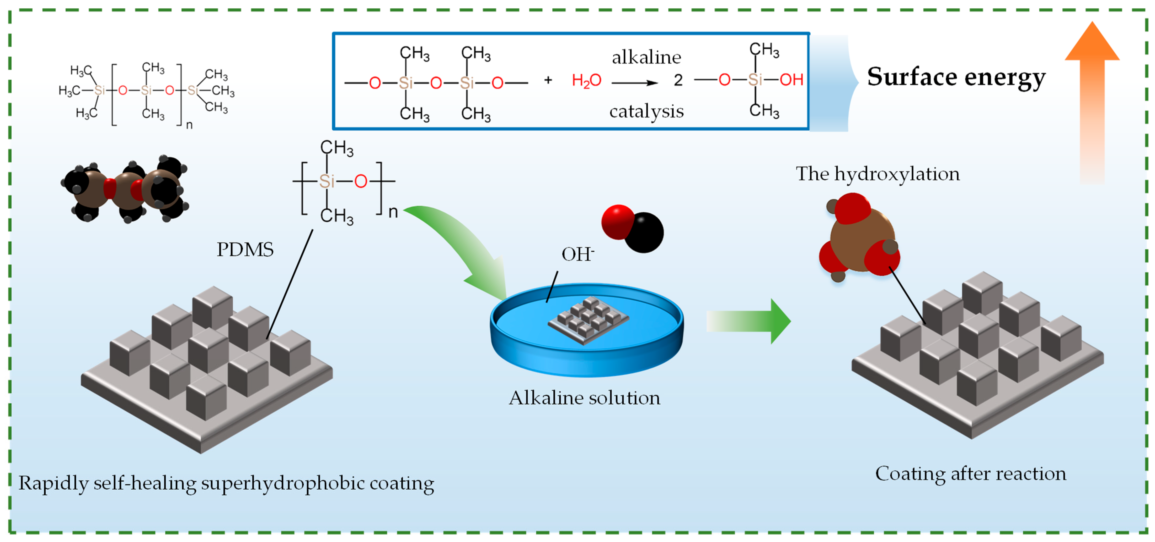 Coatings 14 00845 g010