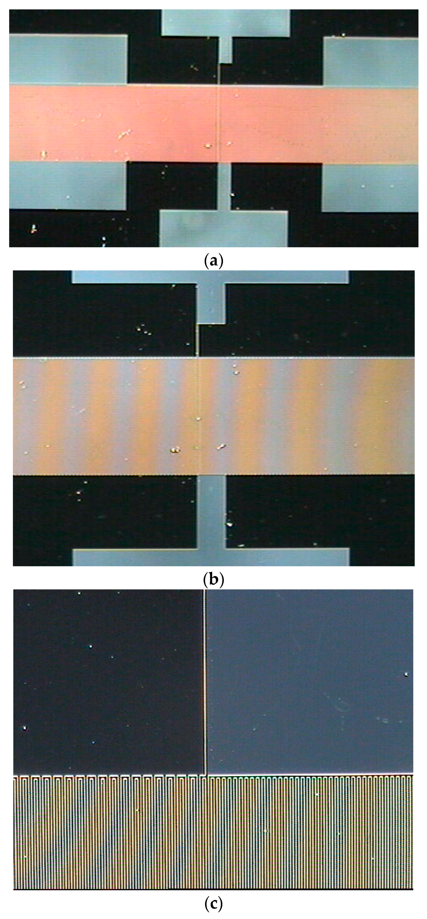Coatings 14 00846 g010a