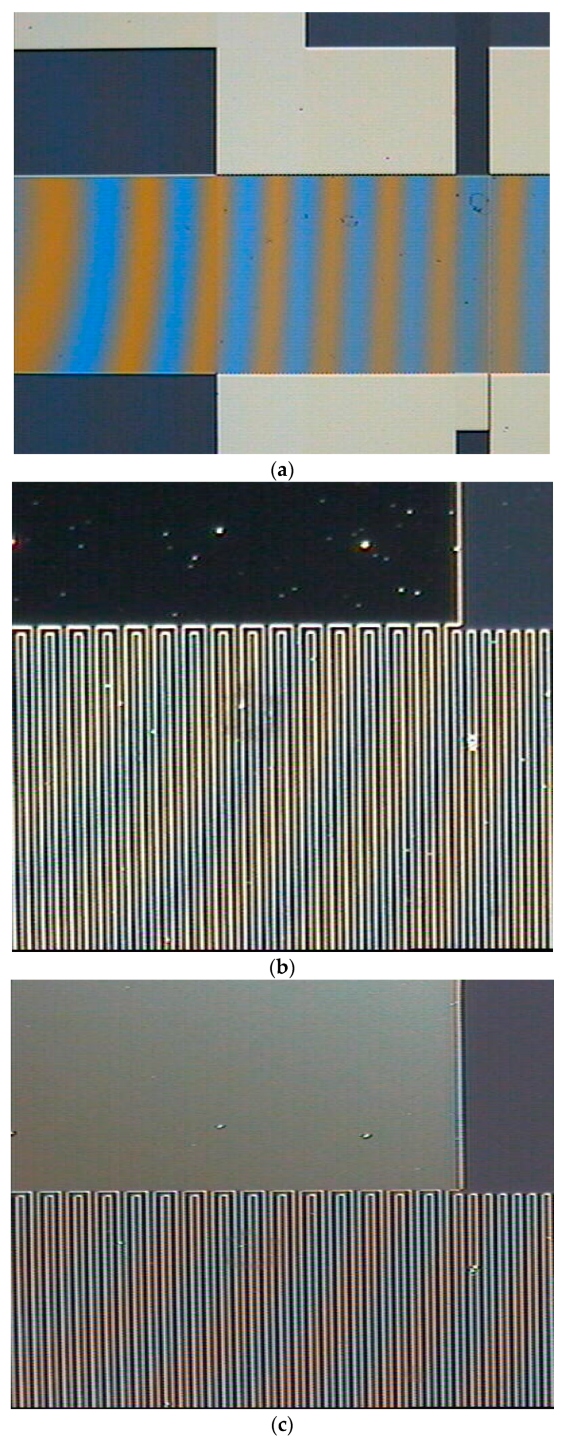 Coatings 14 00846 g011a