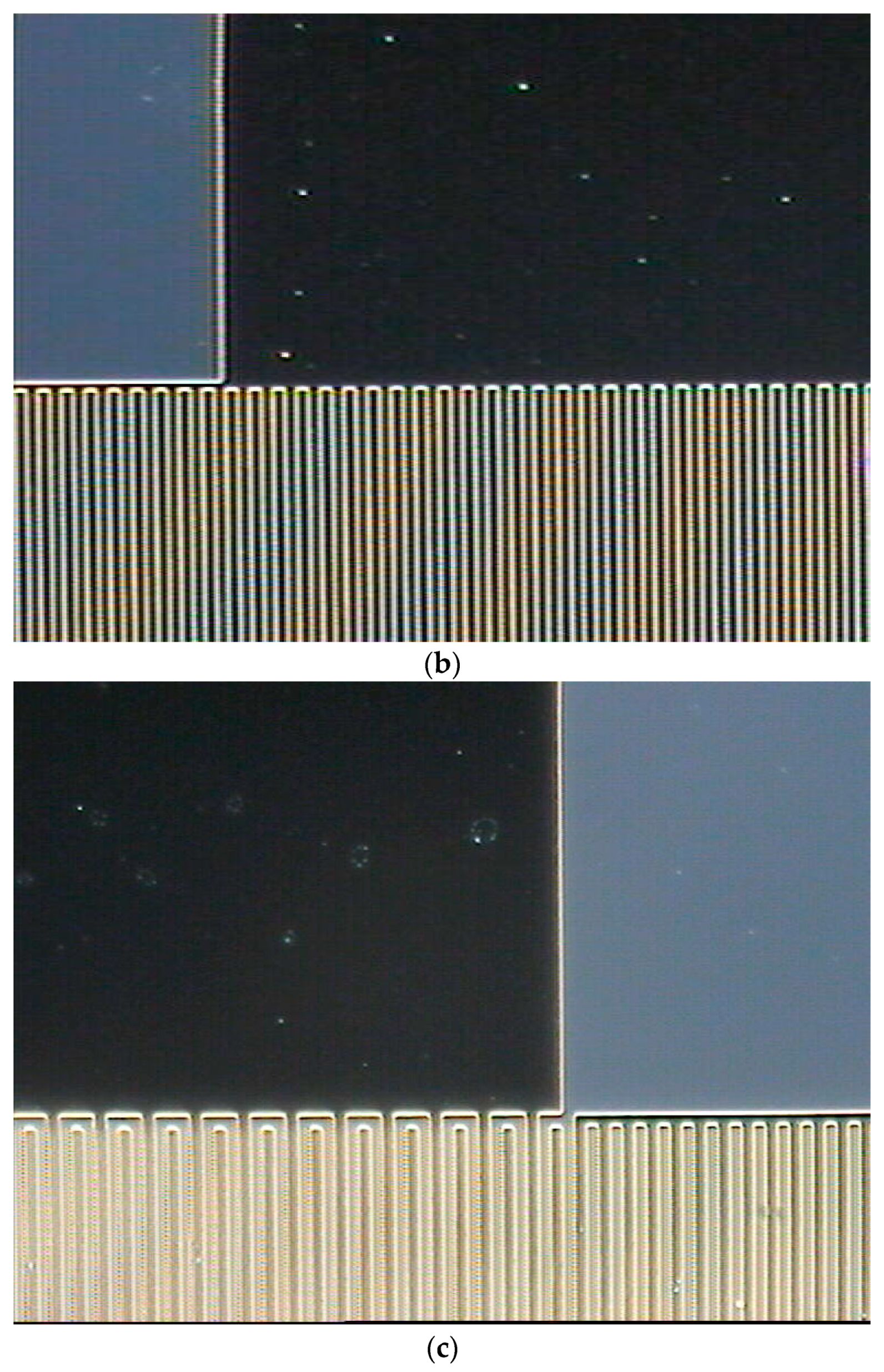 Coatings 14 00846 g012b