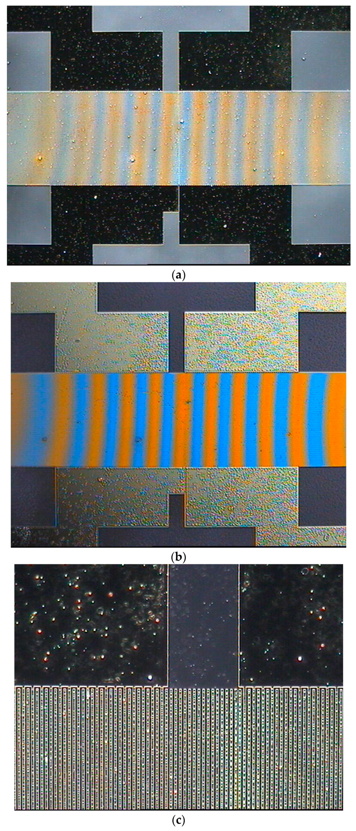 Coatings 14 00846 g013a