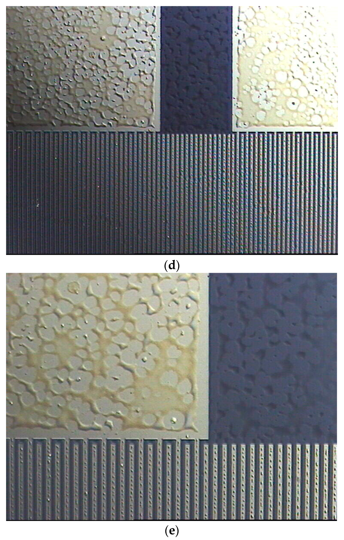 Coatings 14 00846 g013b