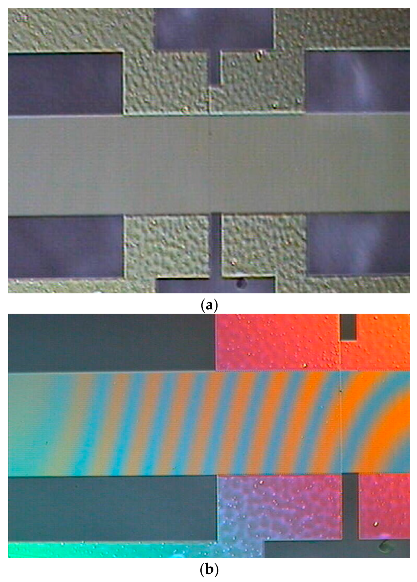 Coatings 14 00846 g014a