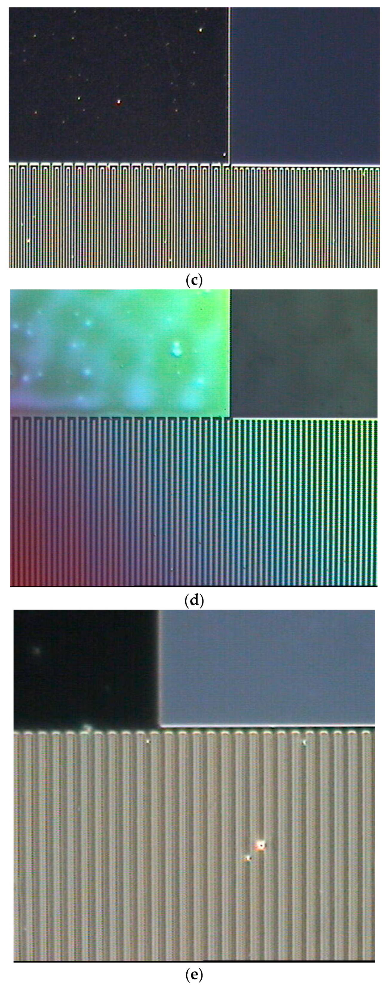 Coatings 14 00846 g014b