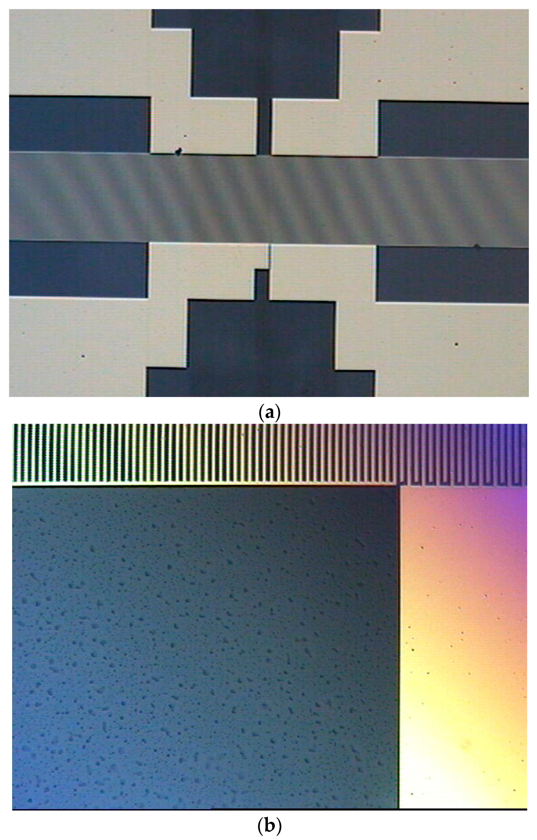 Coatings 14 00846 g015a