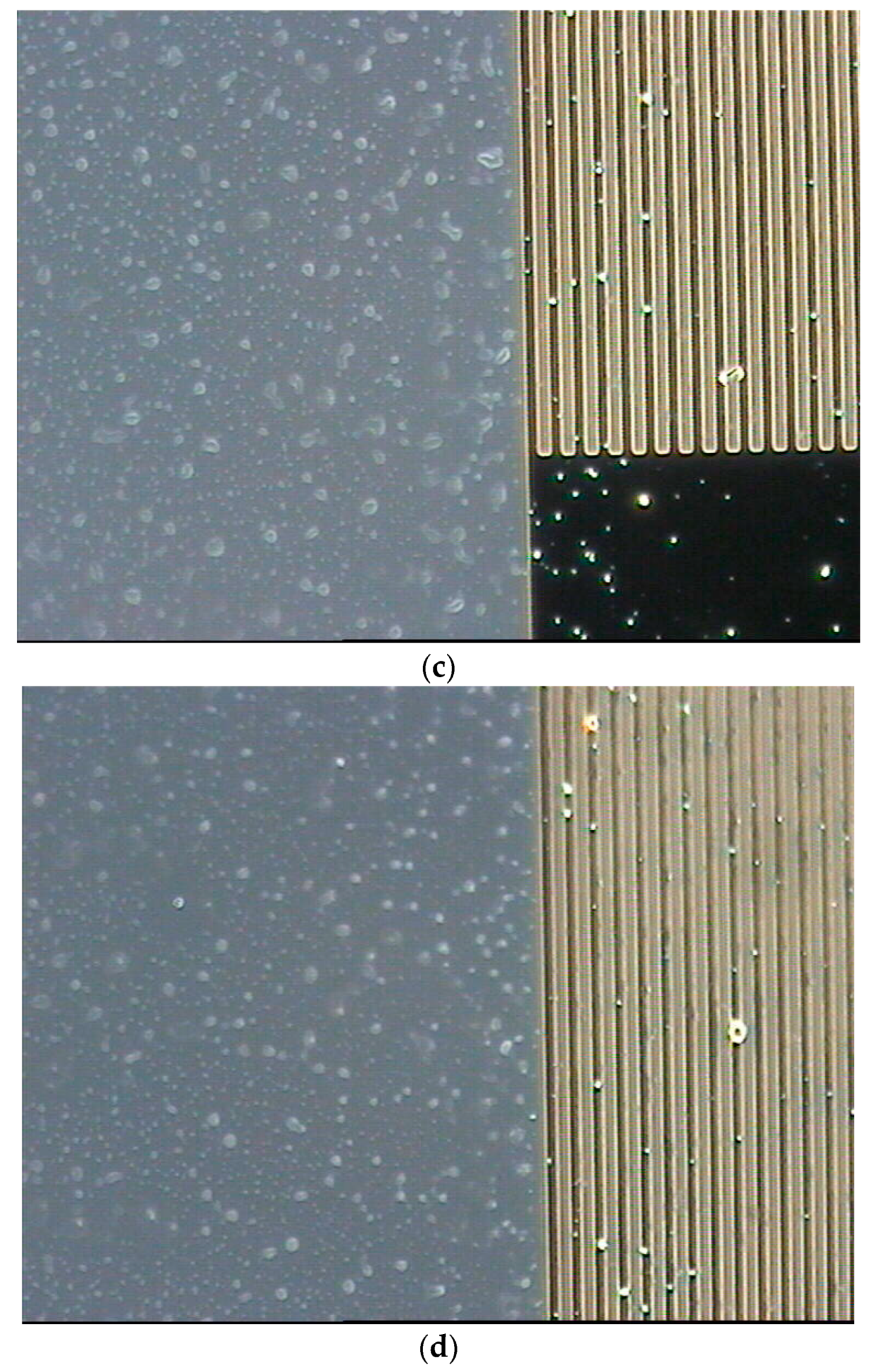 Coatings 14 00846 g015b