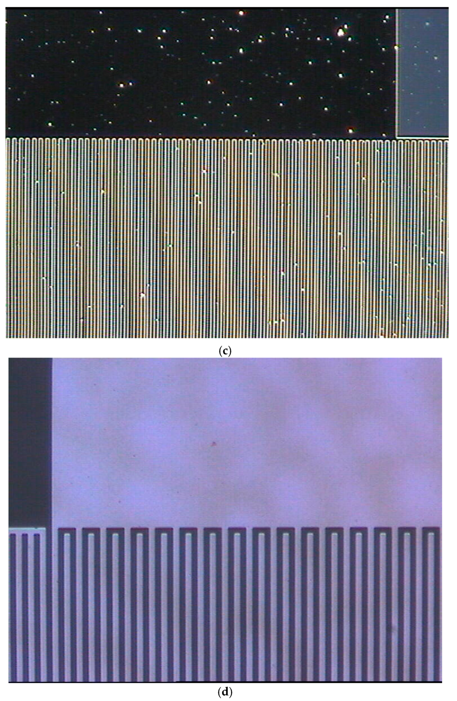 Coatings 14 00846 g017b