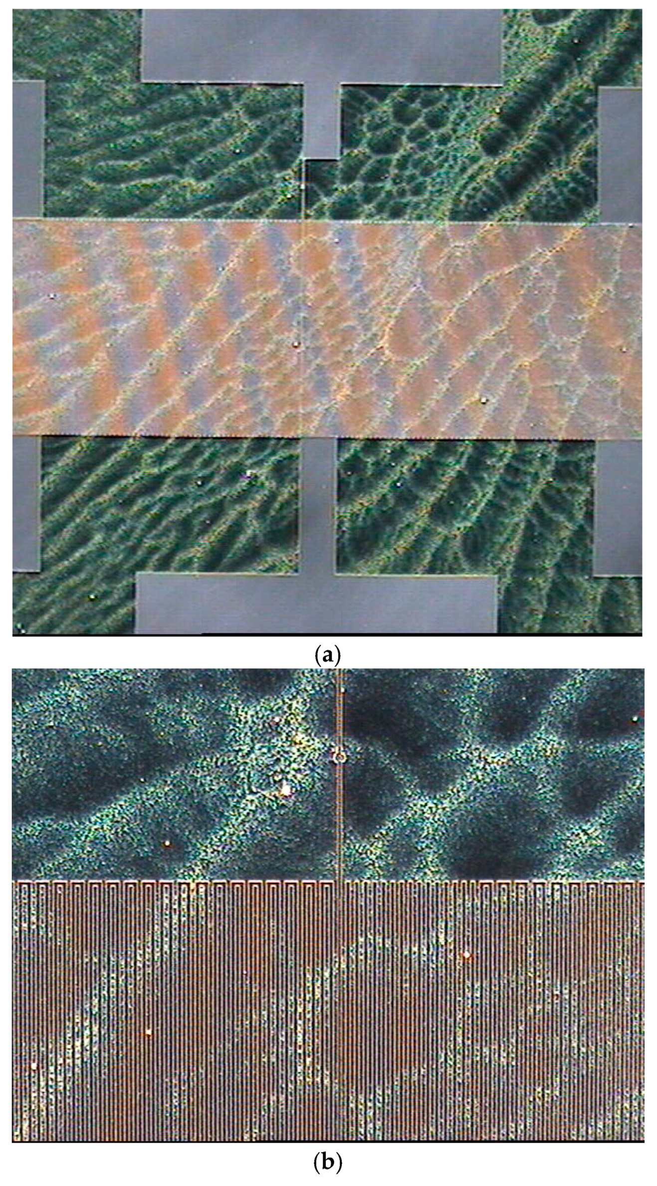Coatings 14 00846 g018a