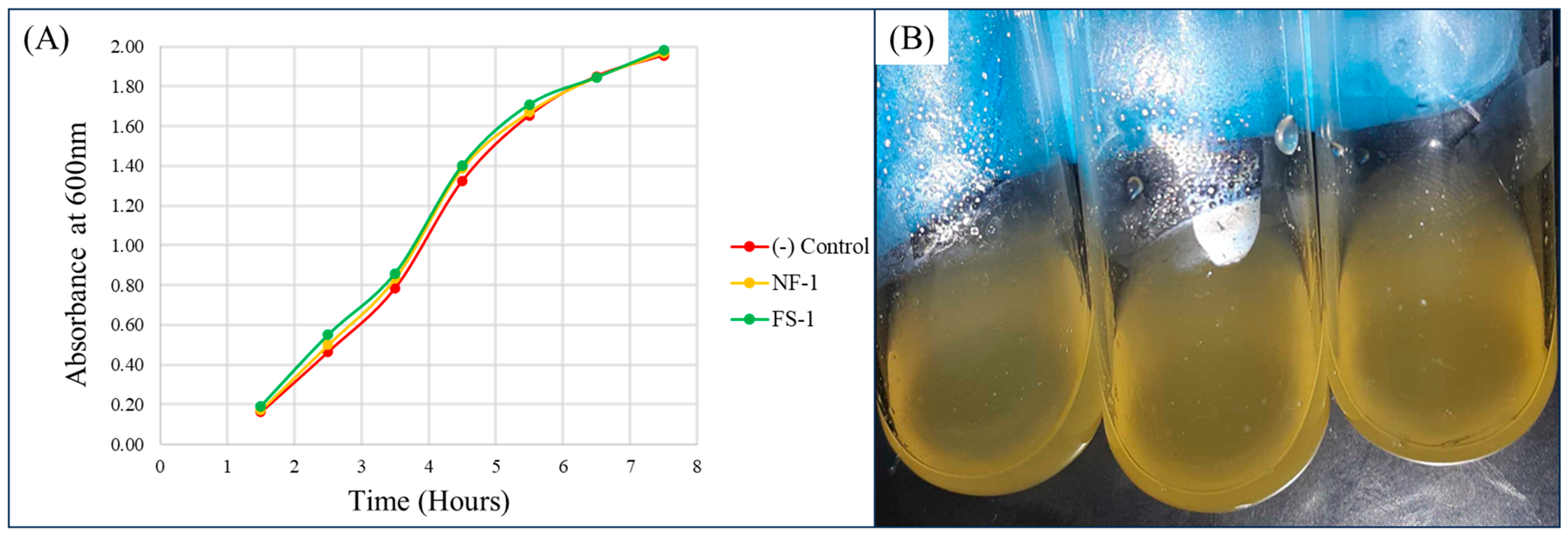Coatings 14 00849 g008