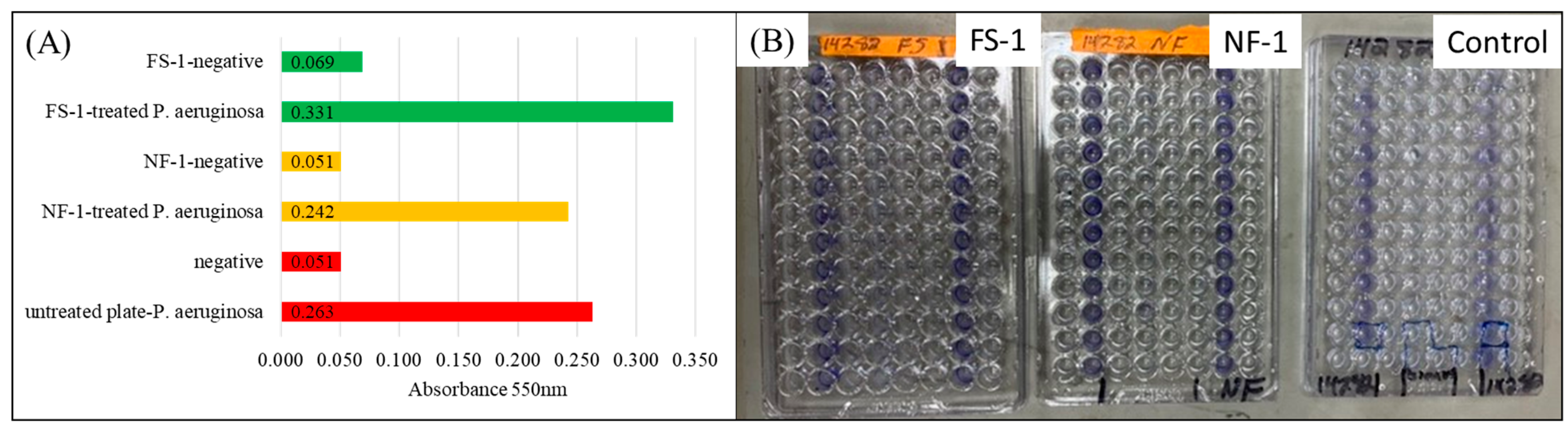 Coatings 14 00849 g009