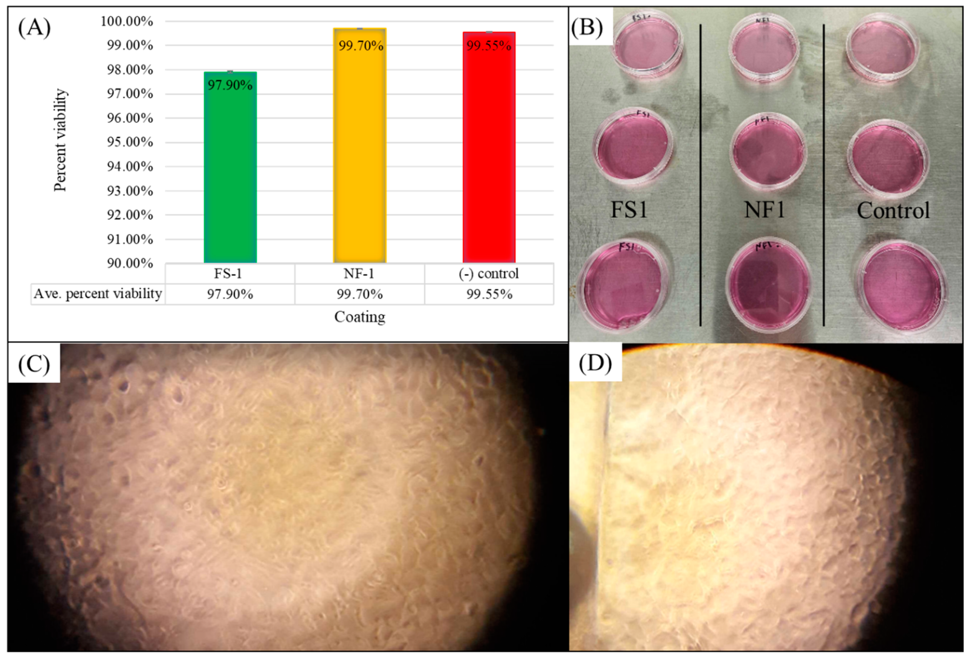 Coatings 14 00849 g010