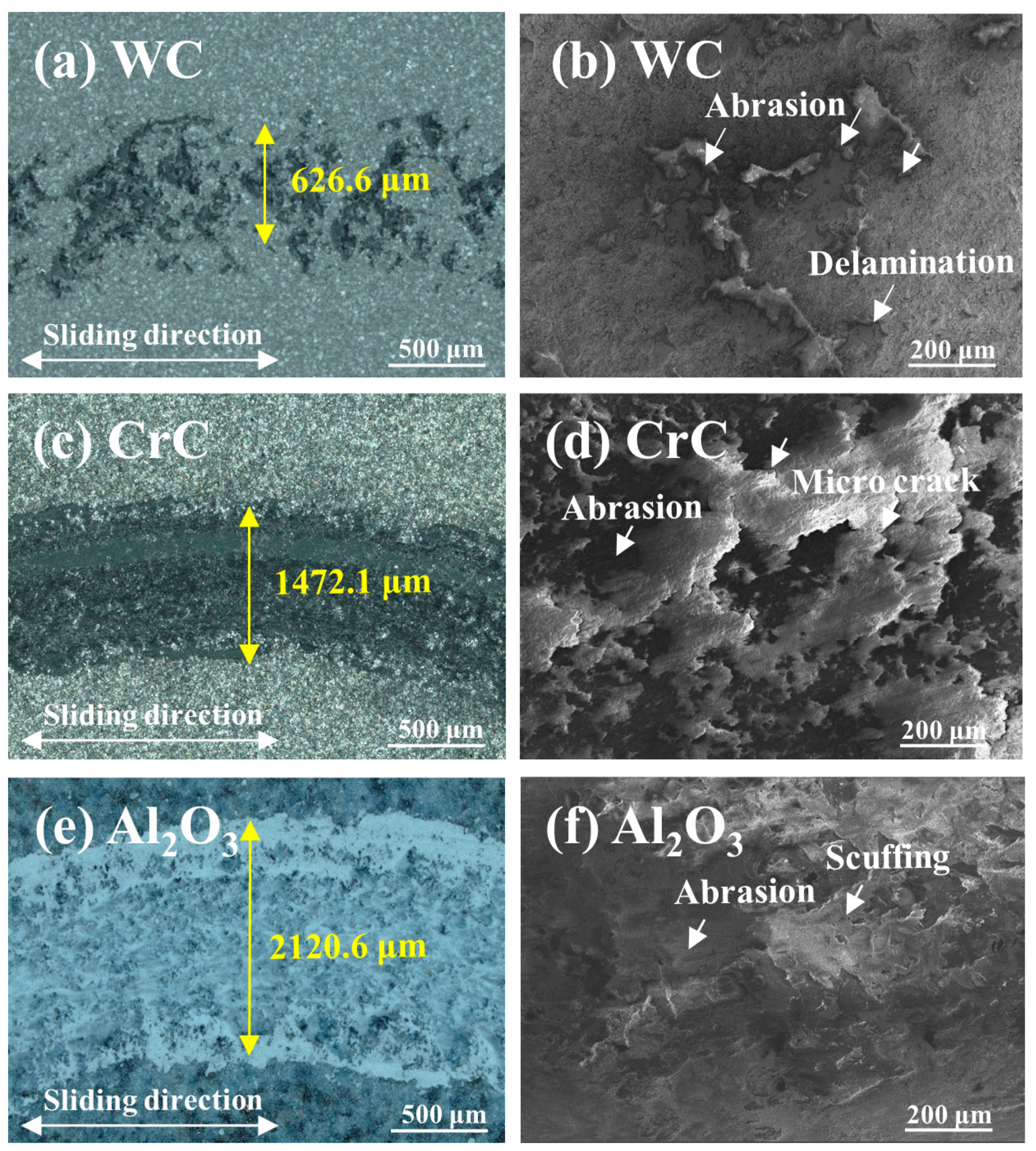 Coatings 14 00853 g006