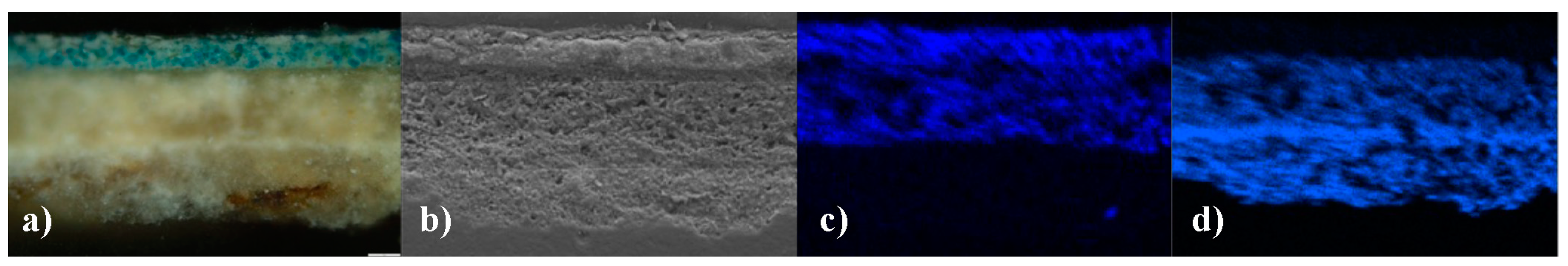 Coatings 14 00854 g005