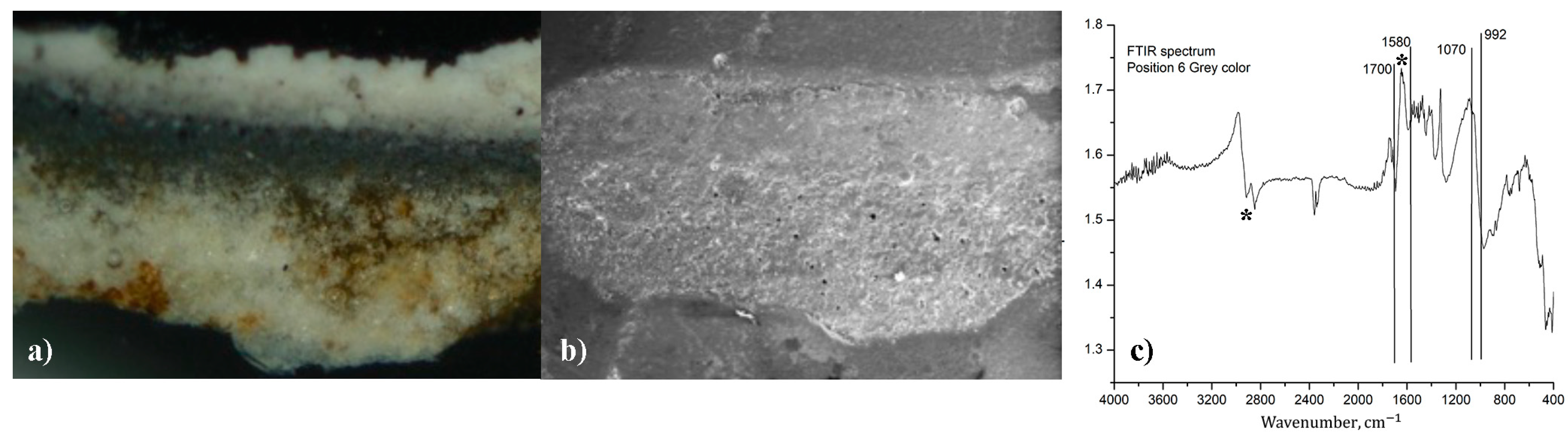 Coatings 14 00854 g009
