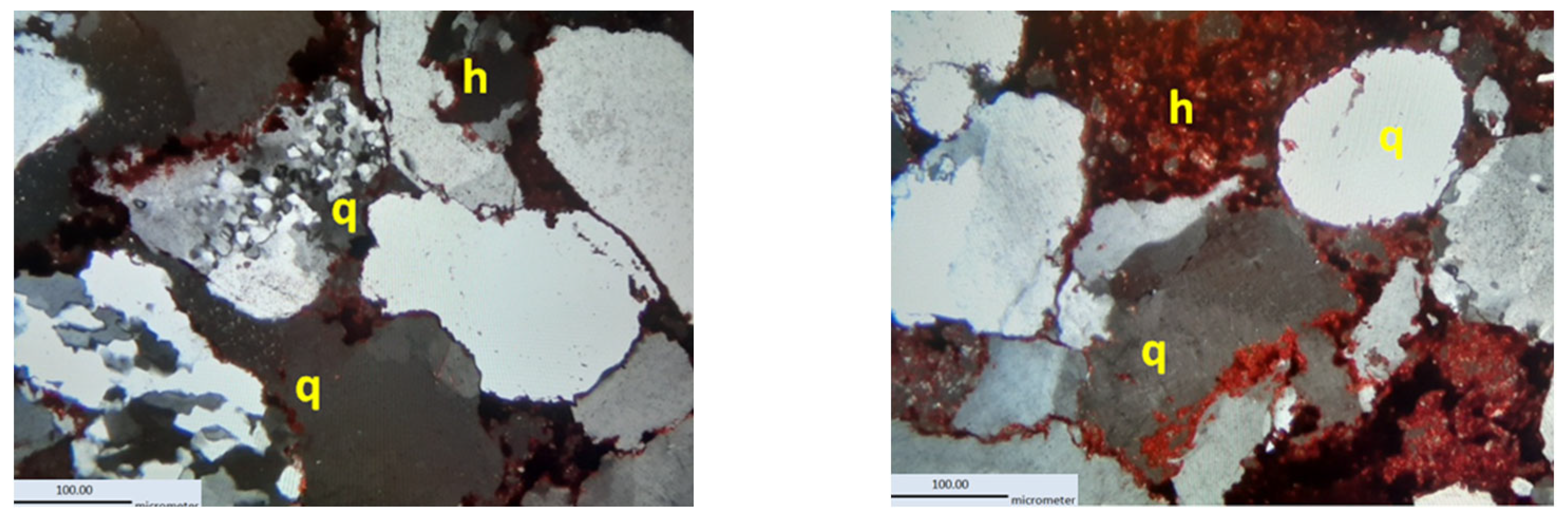 Coatings 14 00859 g011 Coatings 14 00859 g011