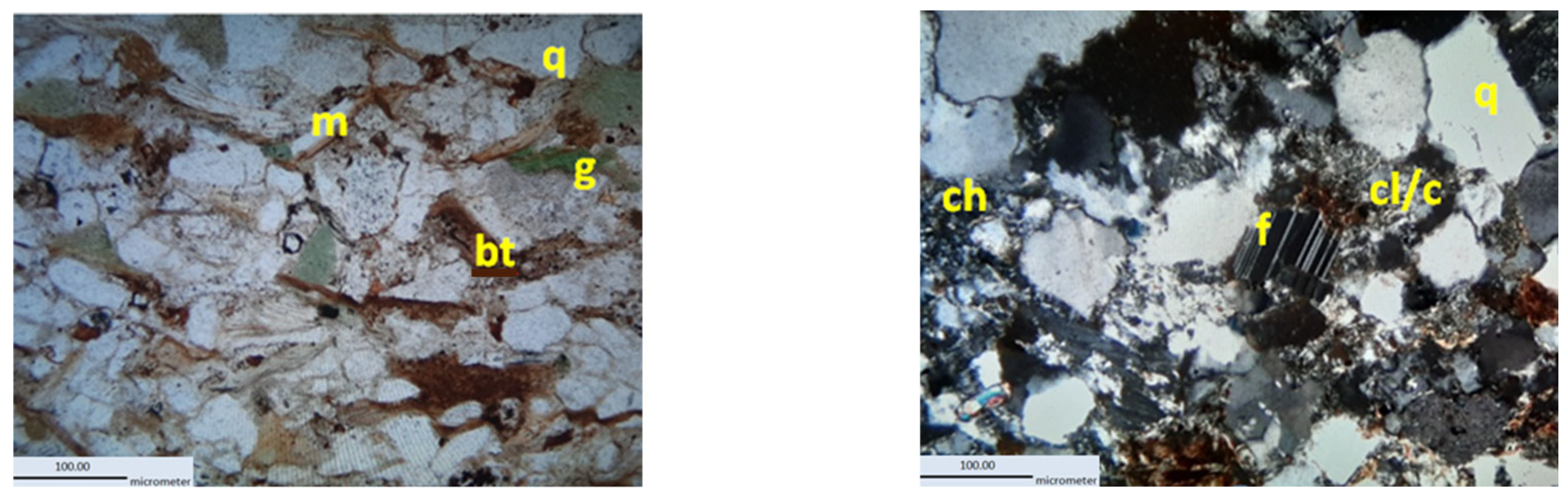 Coatings 14 00859 g013 Coatings 14 00859 g013
