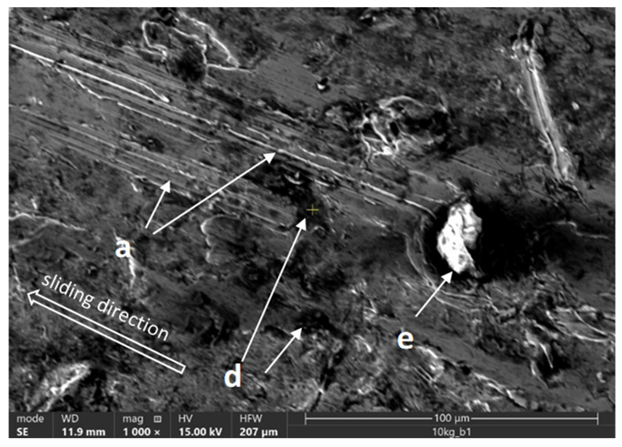 Coatings 14 00859 g021 Coatings 14 00859 g021