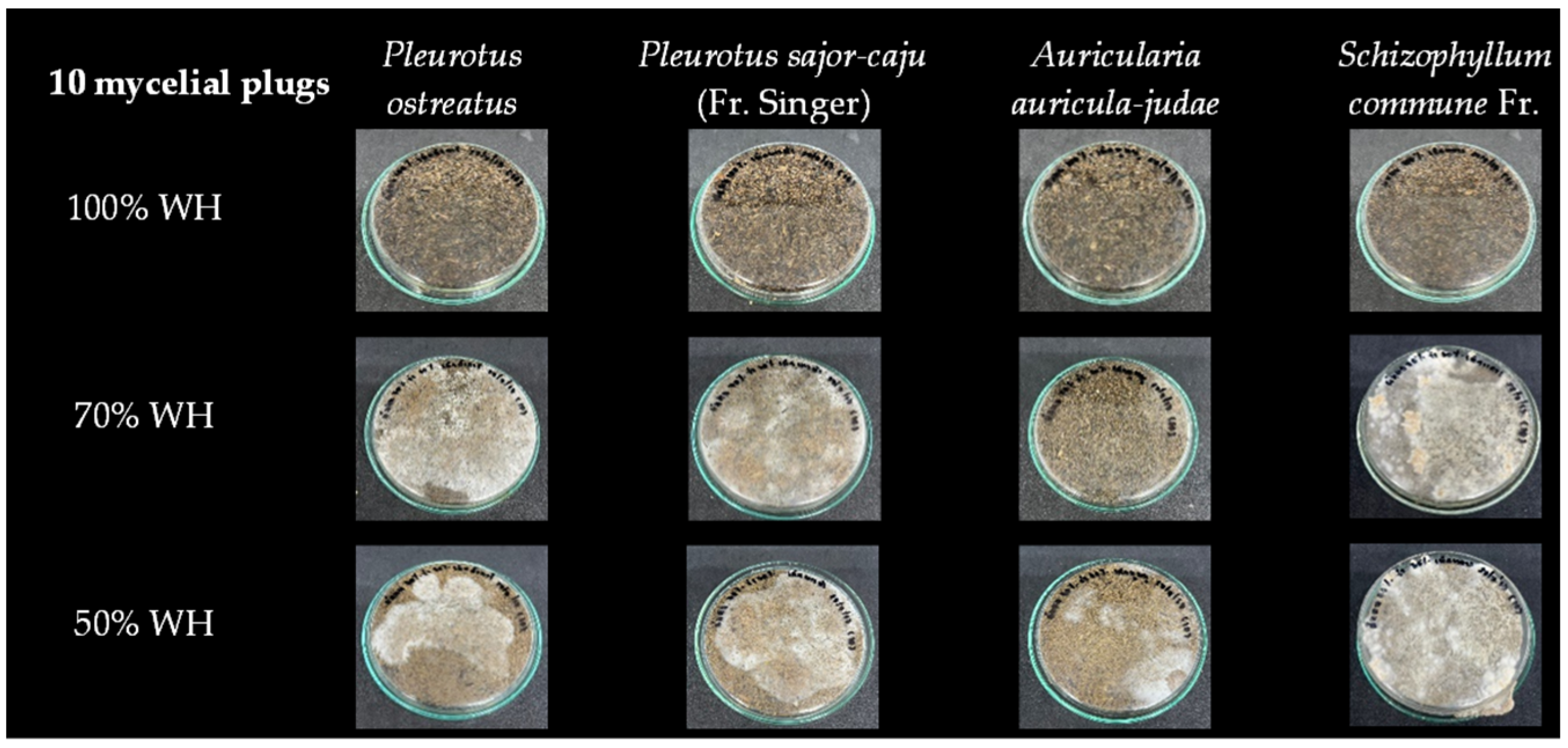Coatings 14 00862 g001a