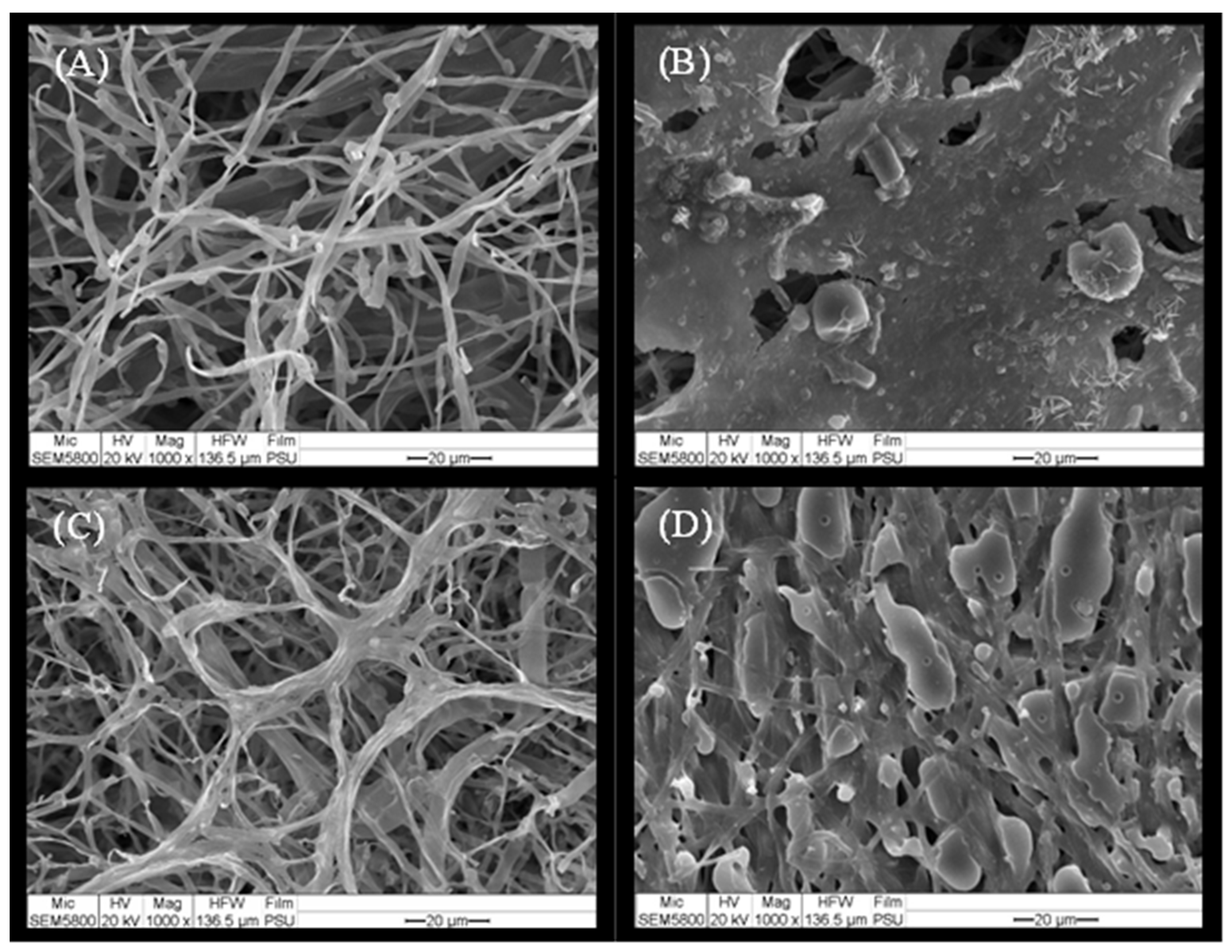 Coatings 14 00862 g005