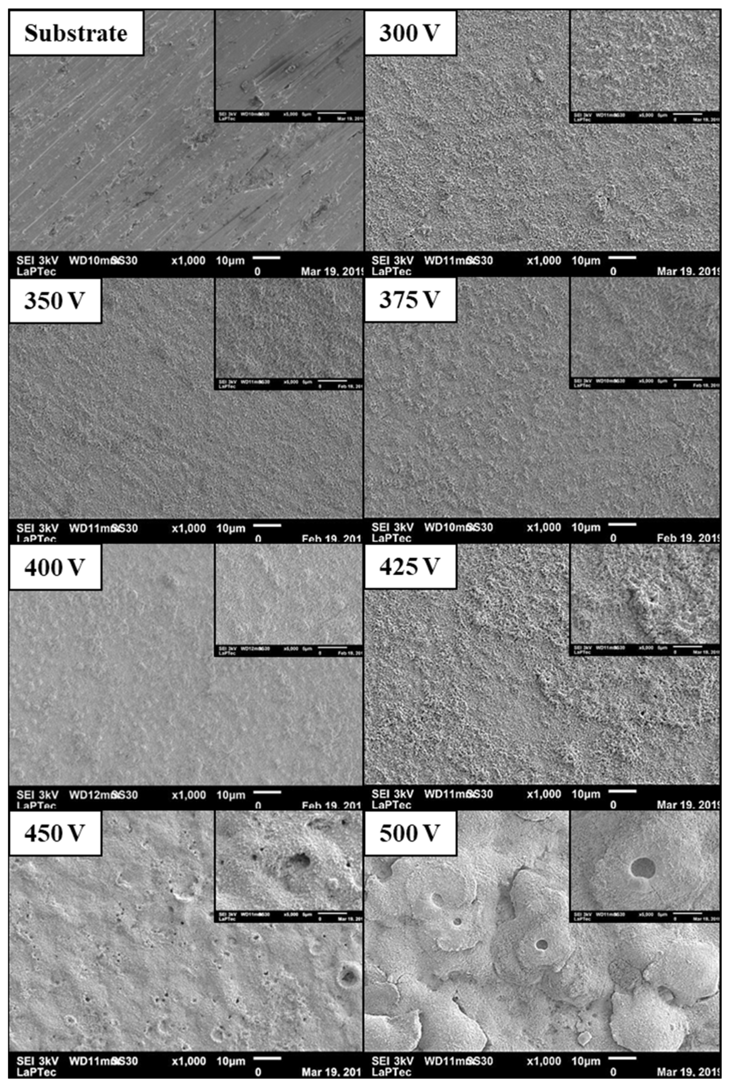Coatings 14 00866 g002