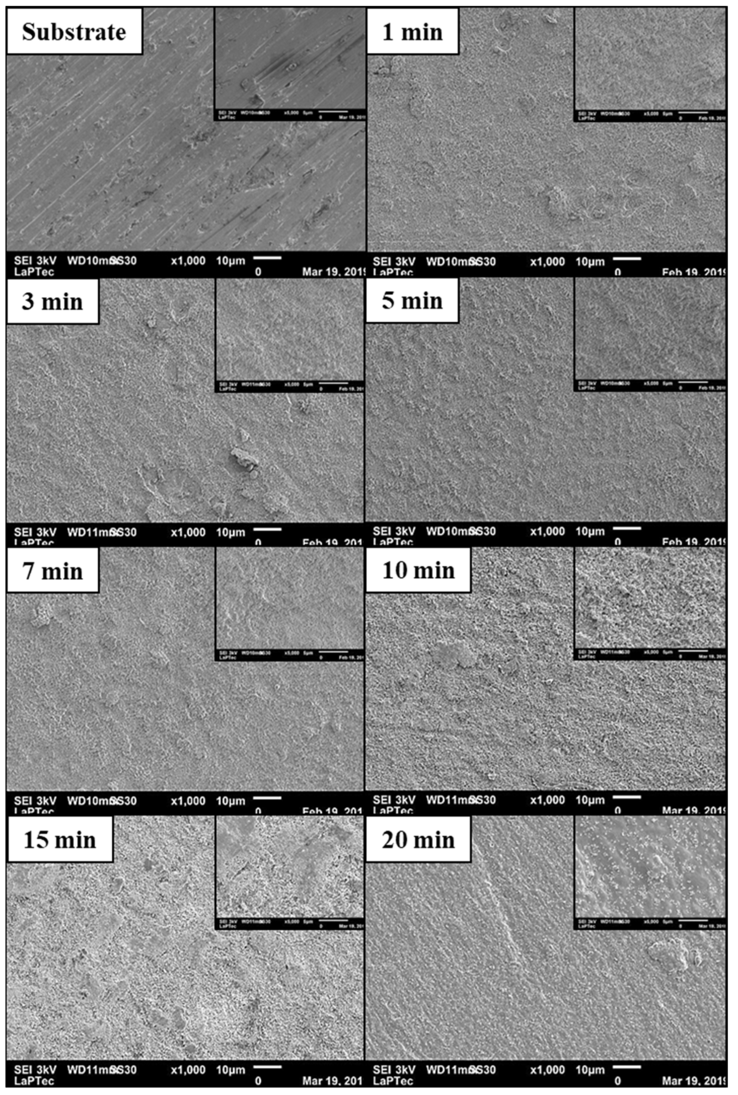 Coatings 14 00866 g003