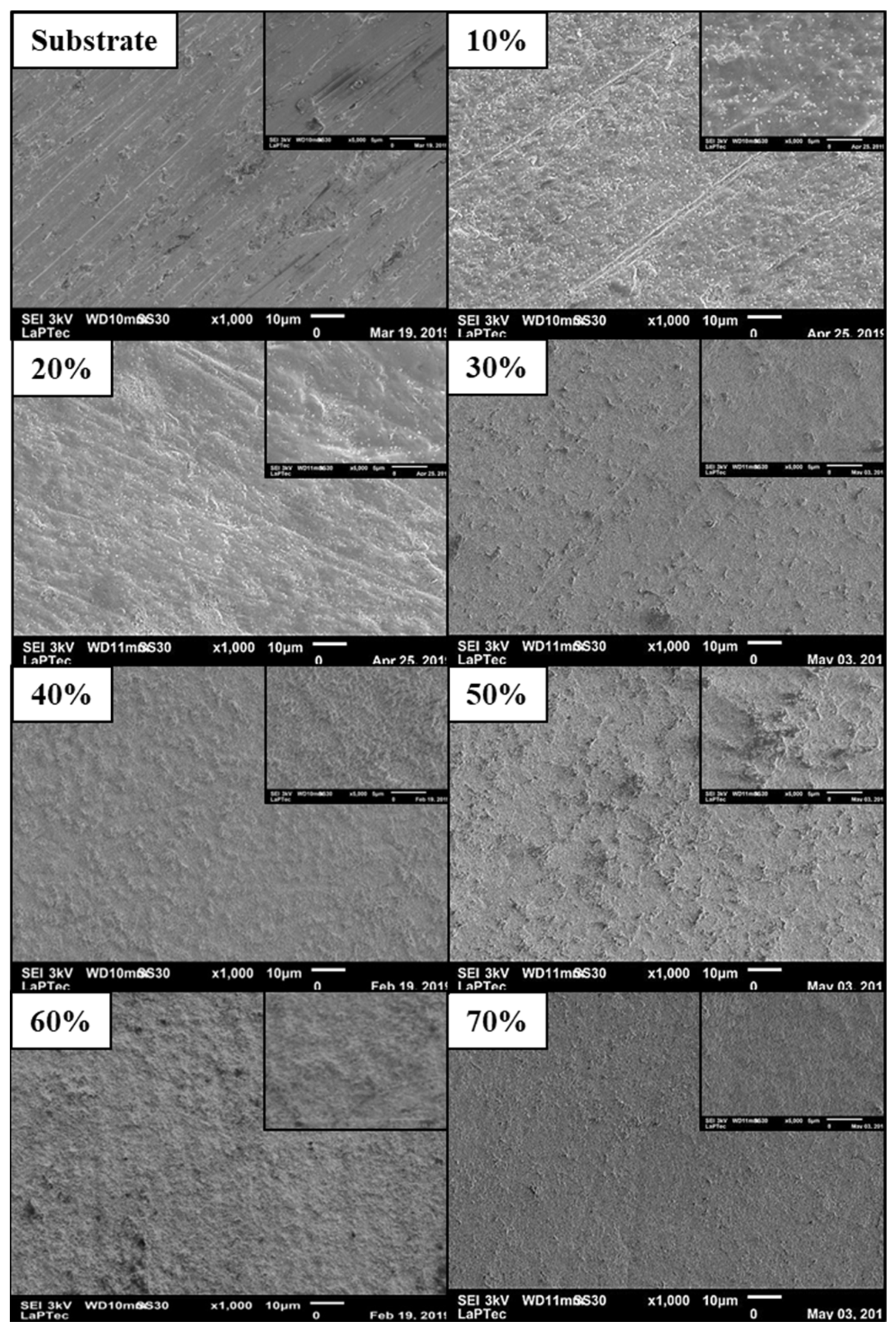 Coatings 14 00866 g004