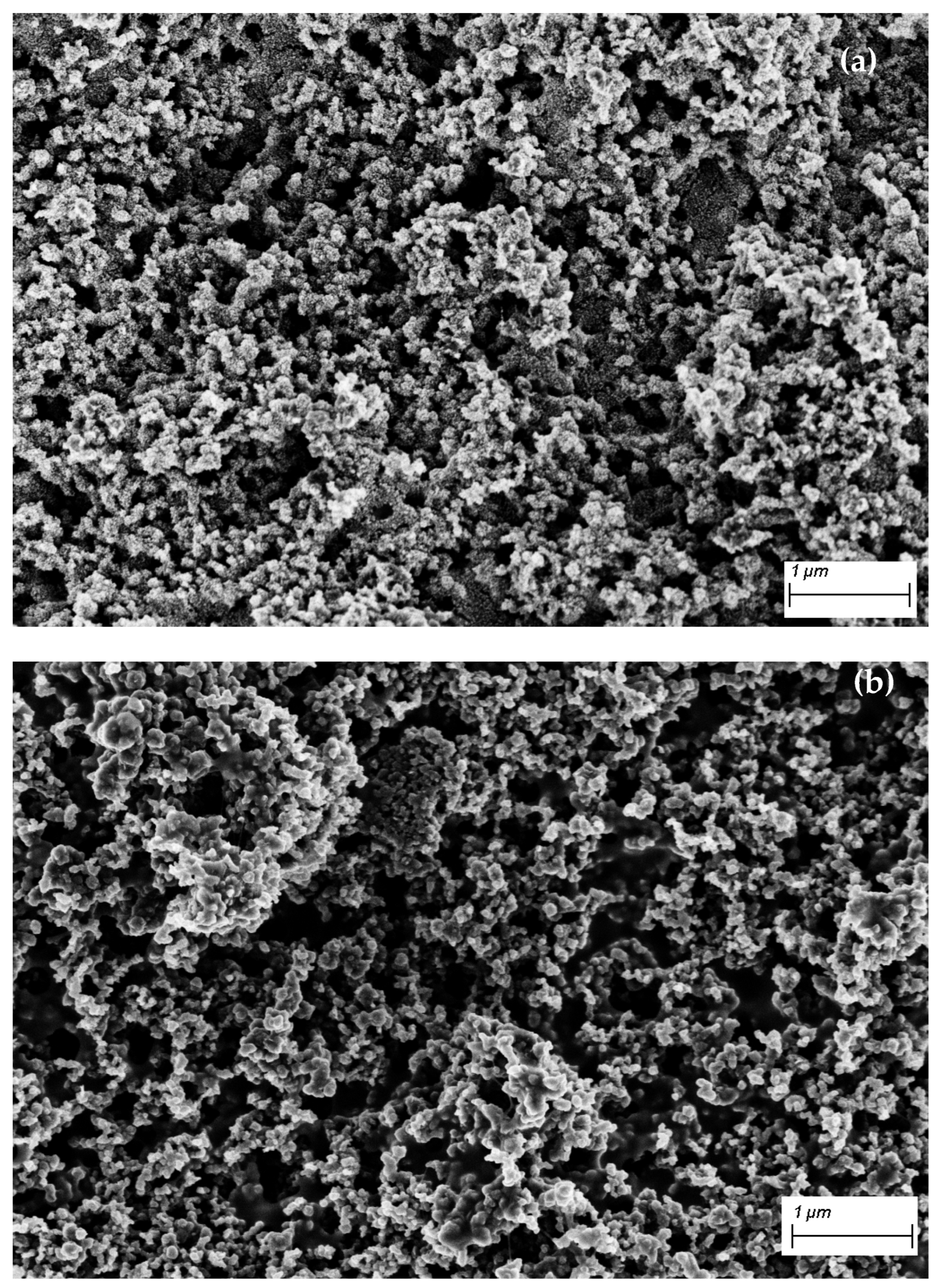 Coatings 14 00868 g002