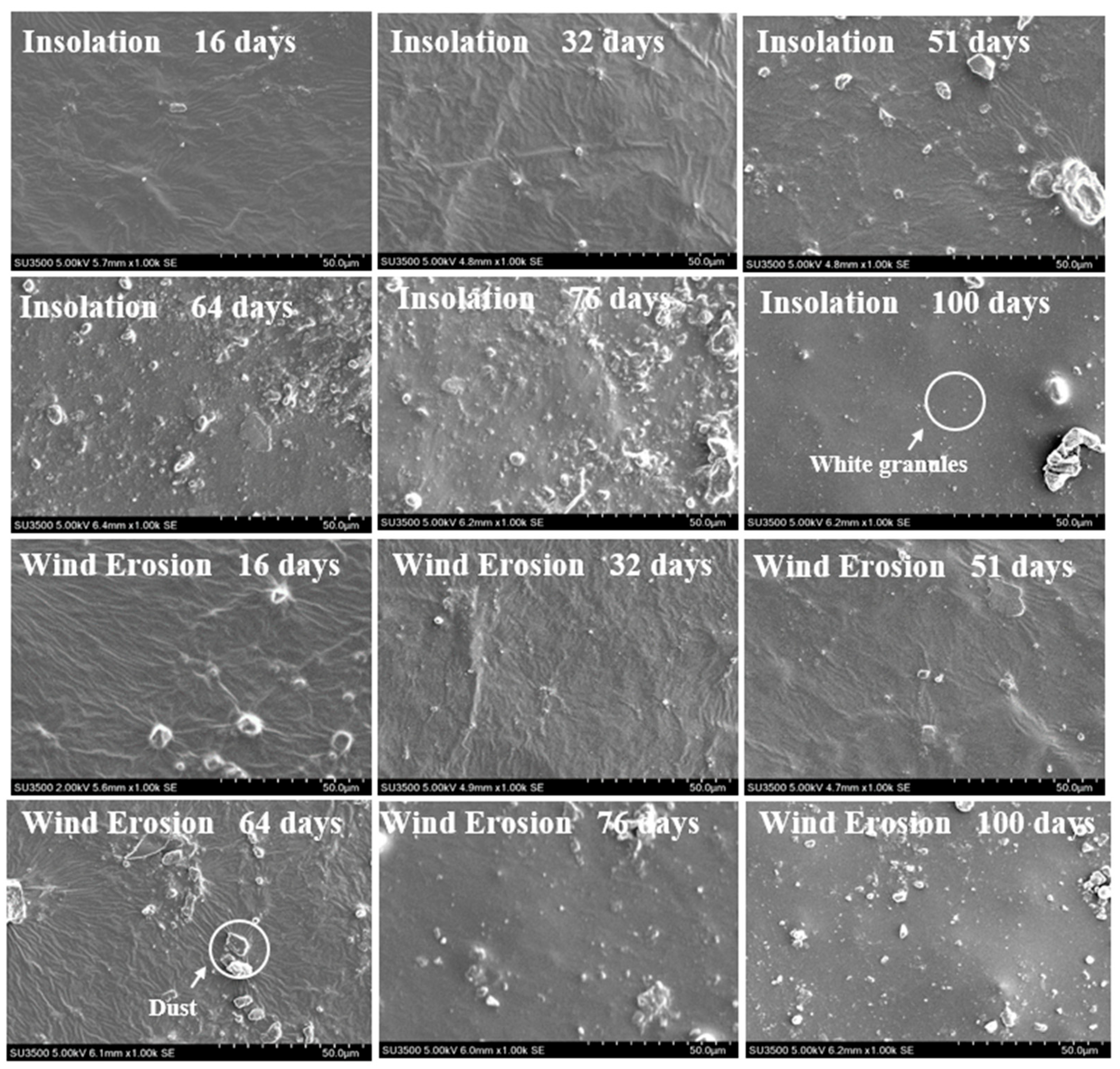 Coatings 14 00870 g012