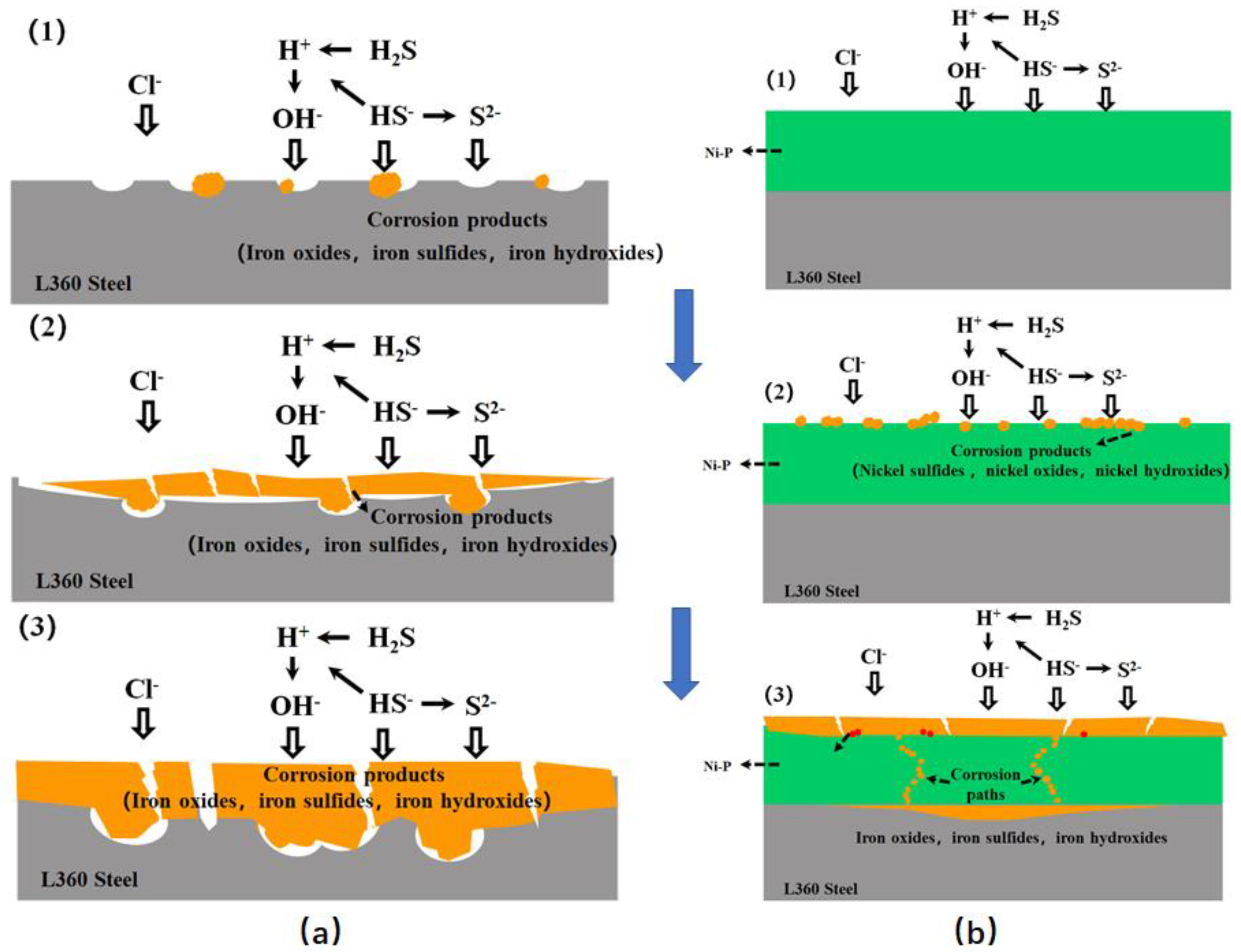 Coatings 14 00871 g007