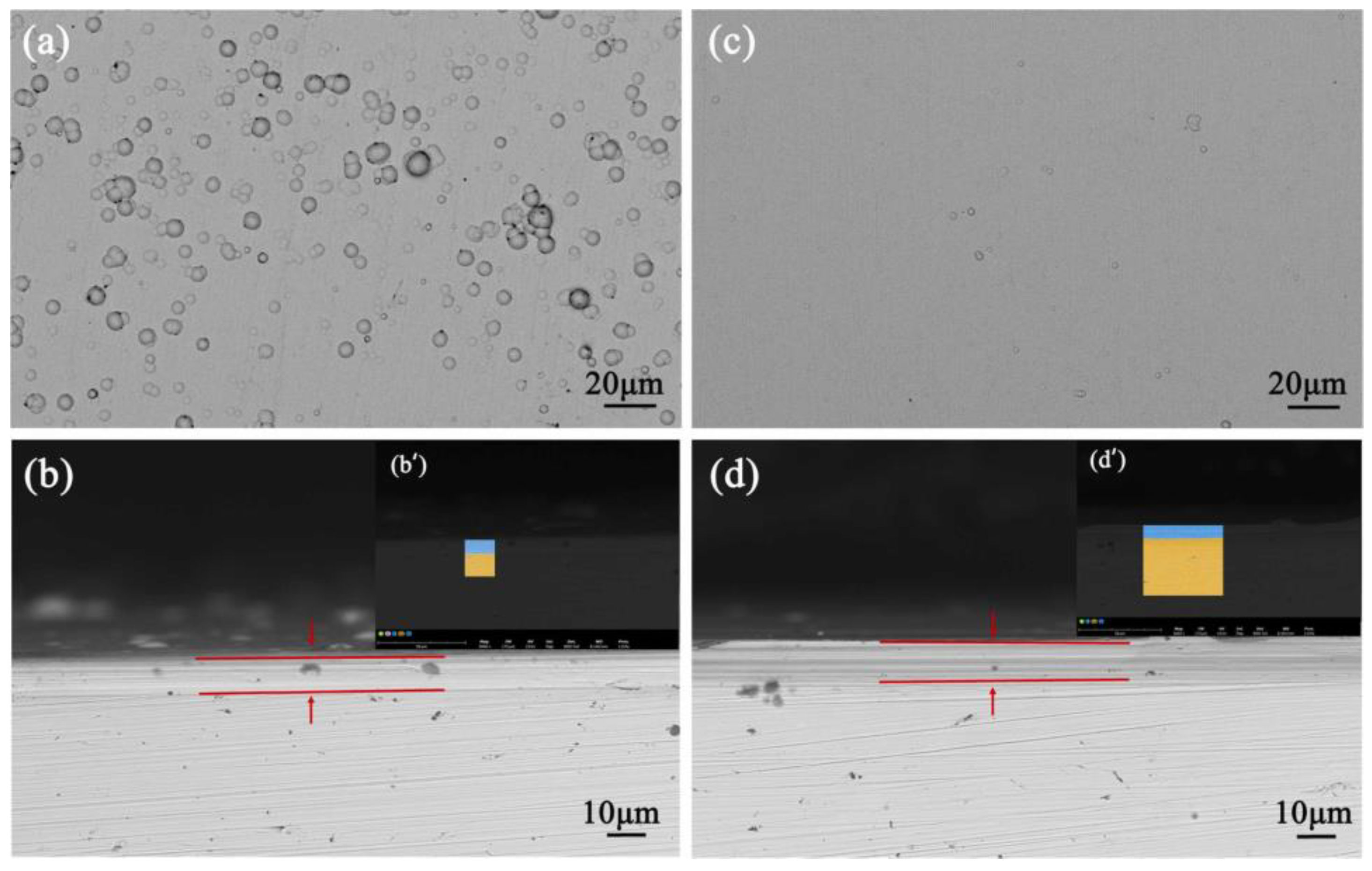 Coatings 14 00871 g008