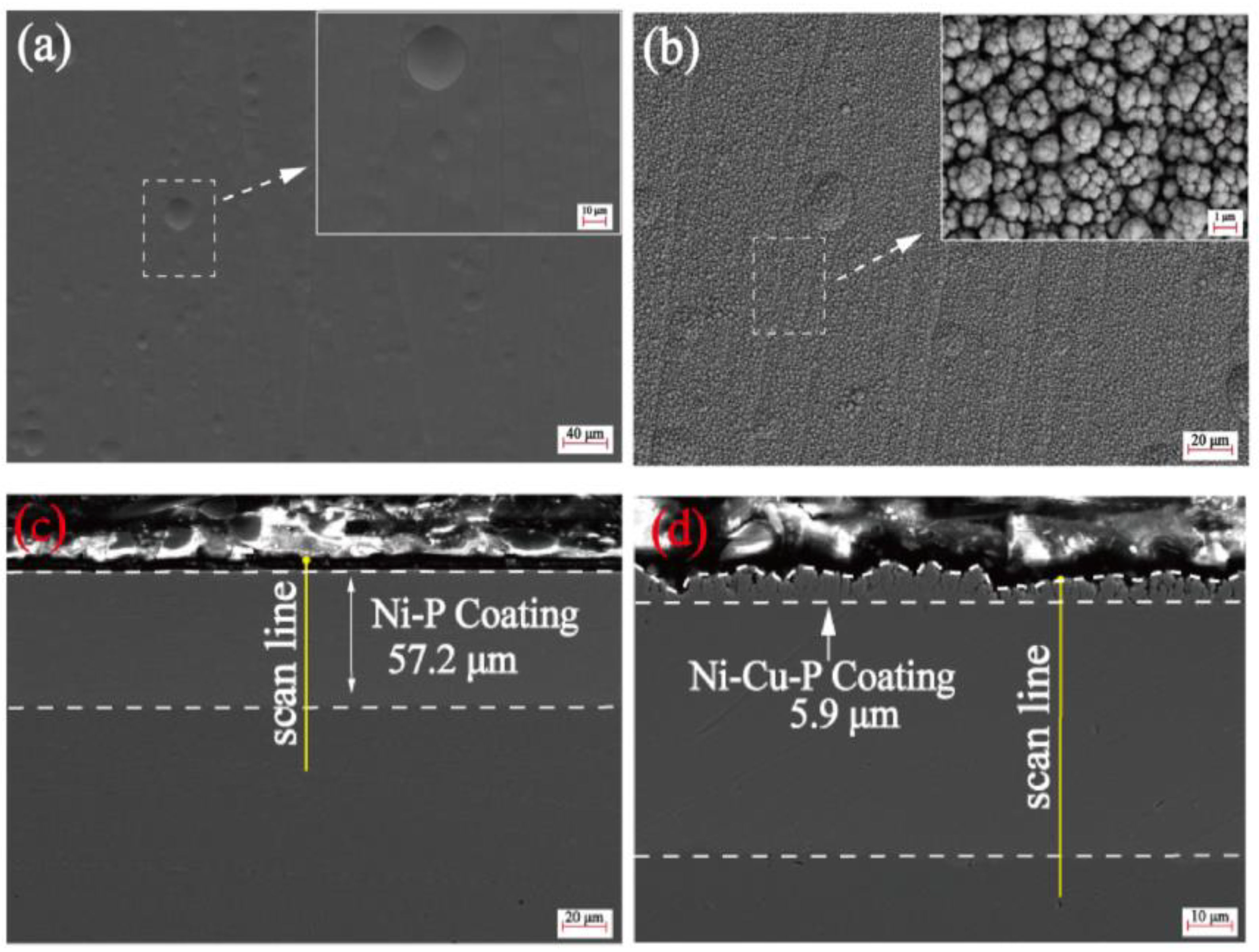 Coatings 14 00871 g009